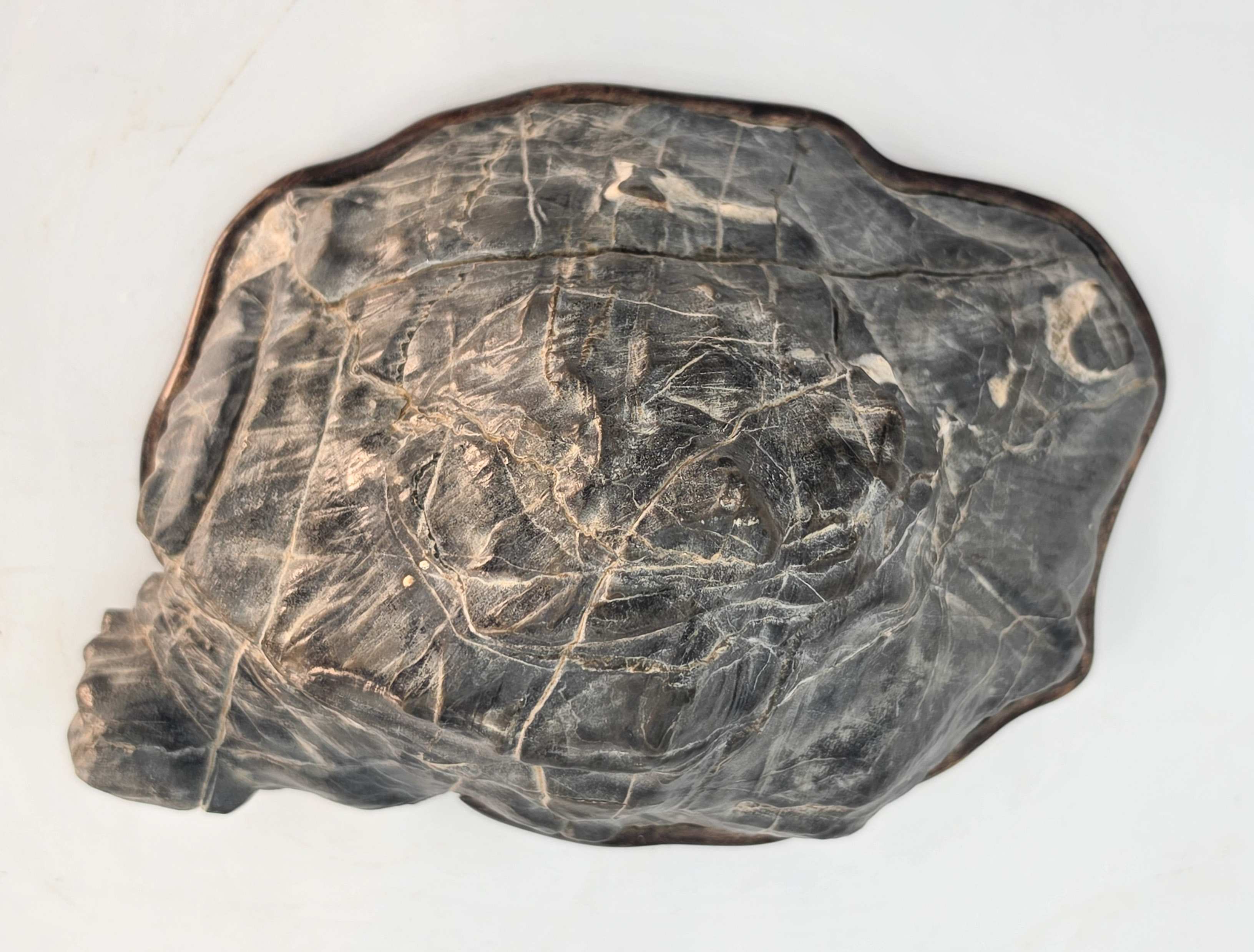 Suiseki aus den Apuanischen Alpen inkl. Daiza 19x13x8,5cm