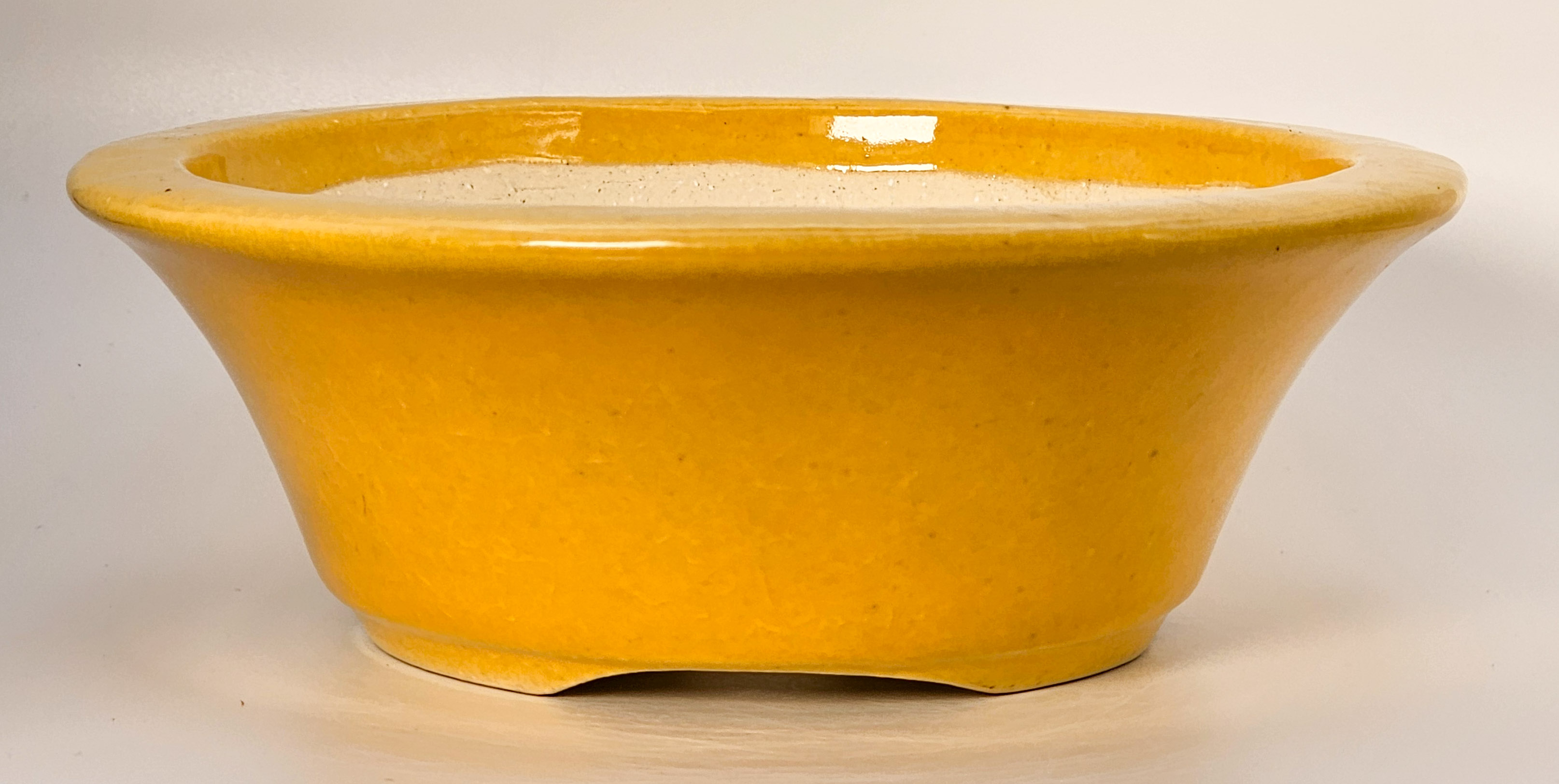 Bonsaischale Koyo, Sonderedition Expo 2025, Tokoname Japan 17x5,5cm