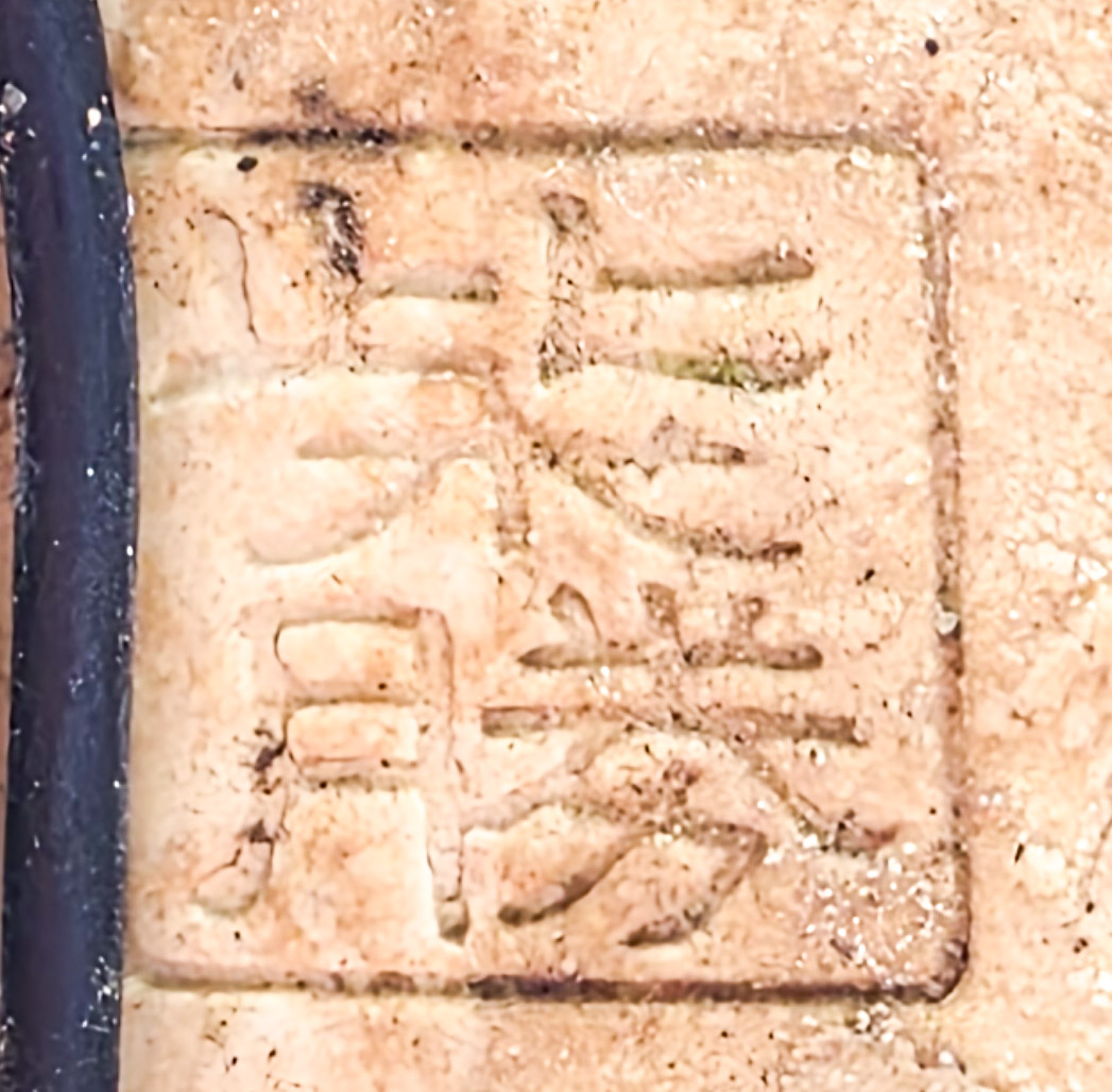 Bonsai Kreppmyrte  - Lagerstroemia indica Shohin 19cm