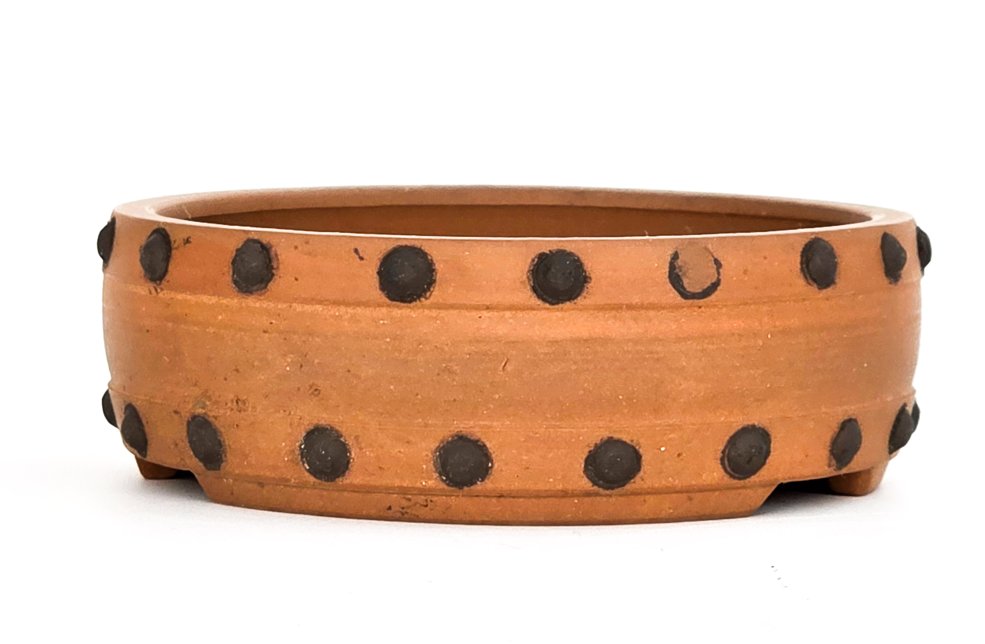 Bonsaischale Seiko Japan 8,2x2,7cm