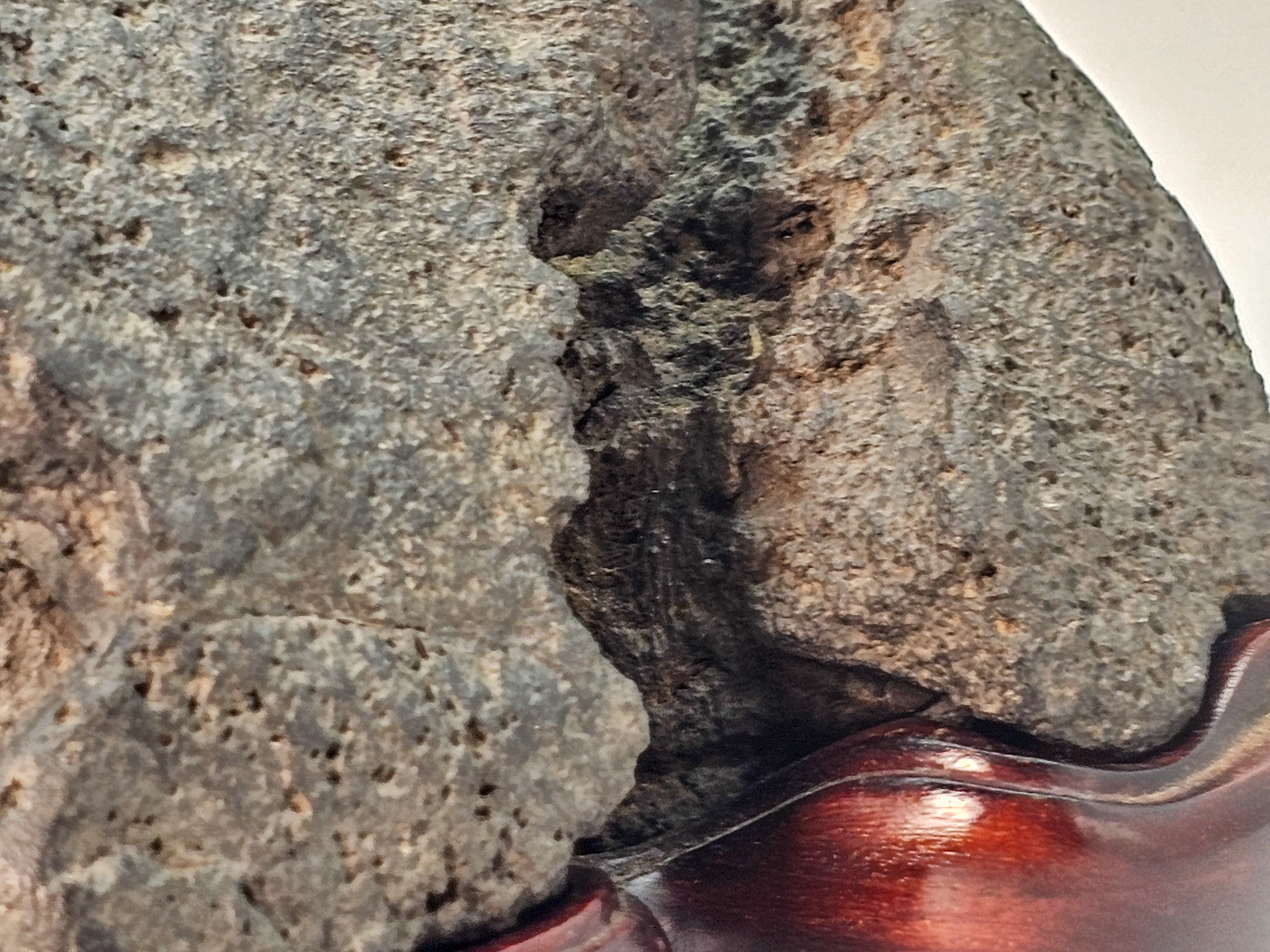 Suiseki aus Japan inkl. Daiza 24,5x12x12cm 