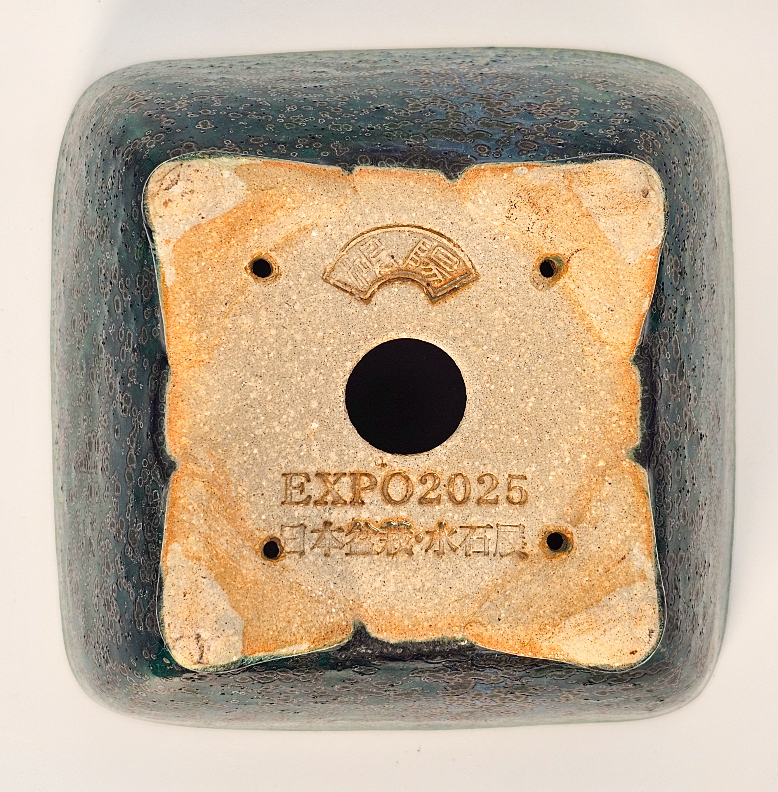 Bonsaischale Koyo, Sonderedition Expo 2025, Tokoname Japan 13,5x7,5cm