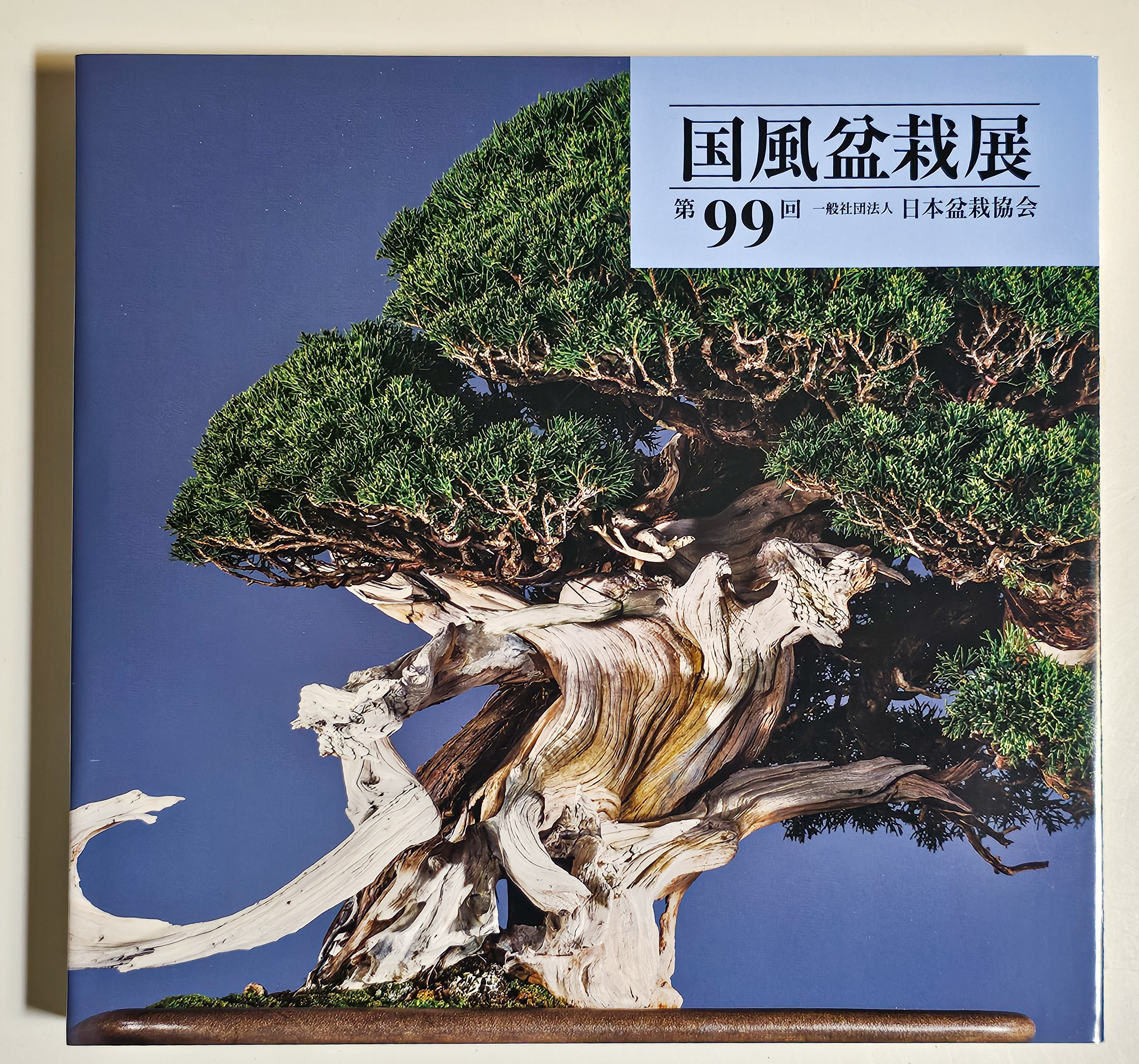 Kokufu Bonsai Ten – Offizieller Katalog der 99. Ausstellung 2025
