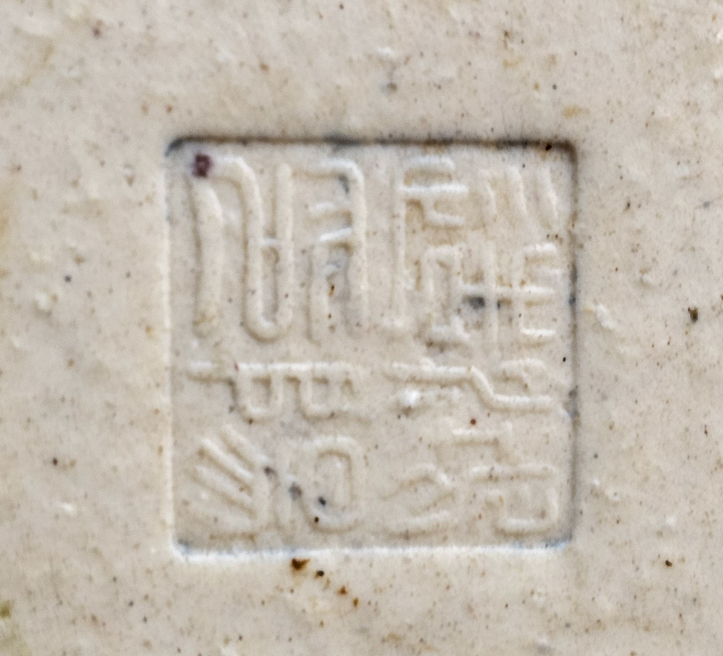 Bonsai Premium Zierquitte - Chaenomeles japonica Shohin 21cm 