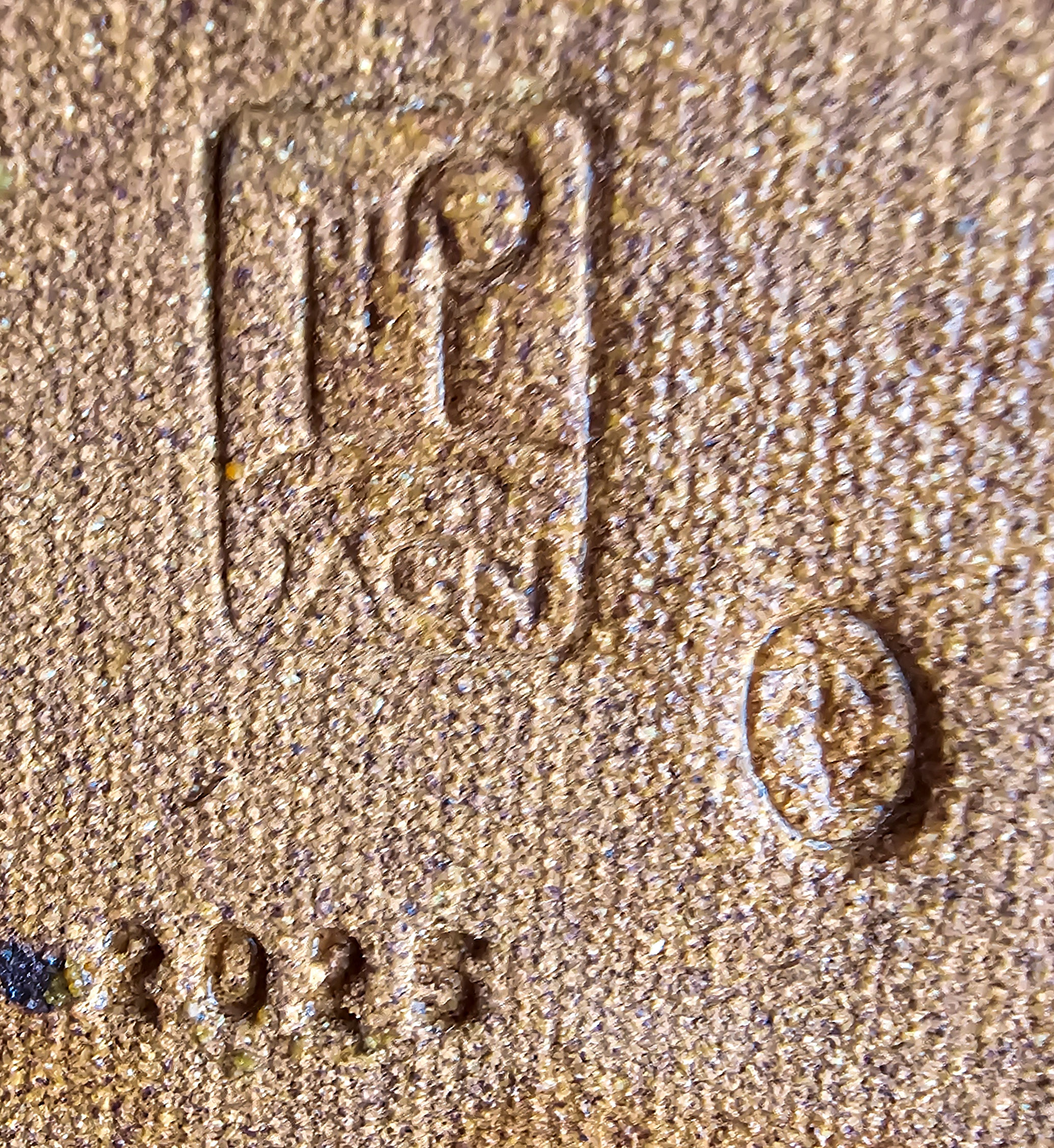 Bonsai Premium Zelkova serrata Shohin 18cm