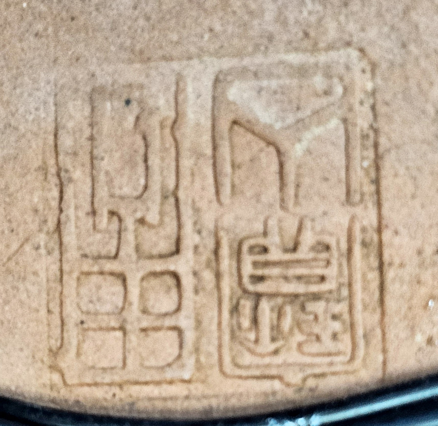 Bonsai Feuerdorn - Pyracantha Shohin 15cm