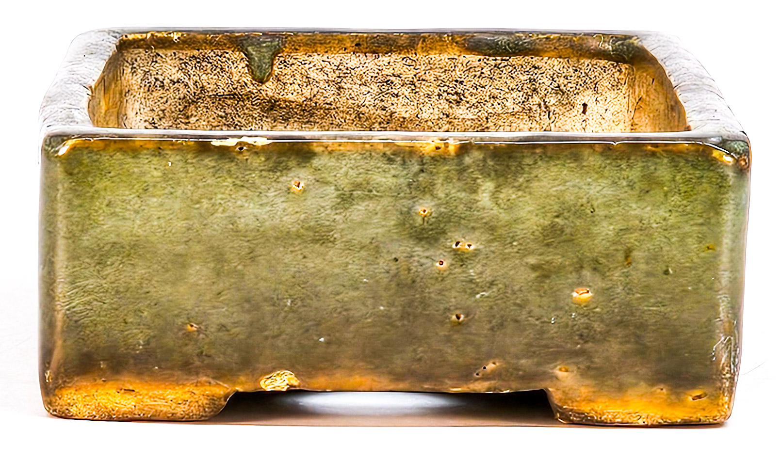 Bonsais Japan 20x11,8x4,6cm