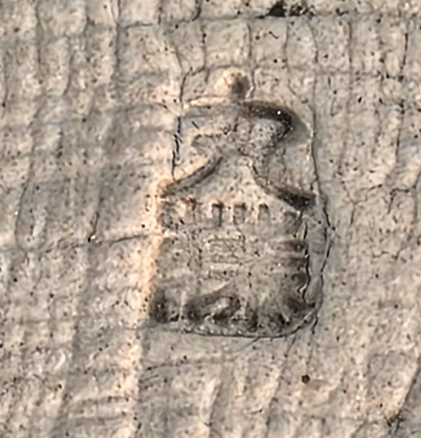 Bonsaischale Japan 9,4x8,2x3,4cm