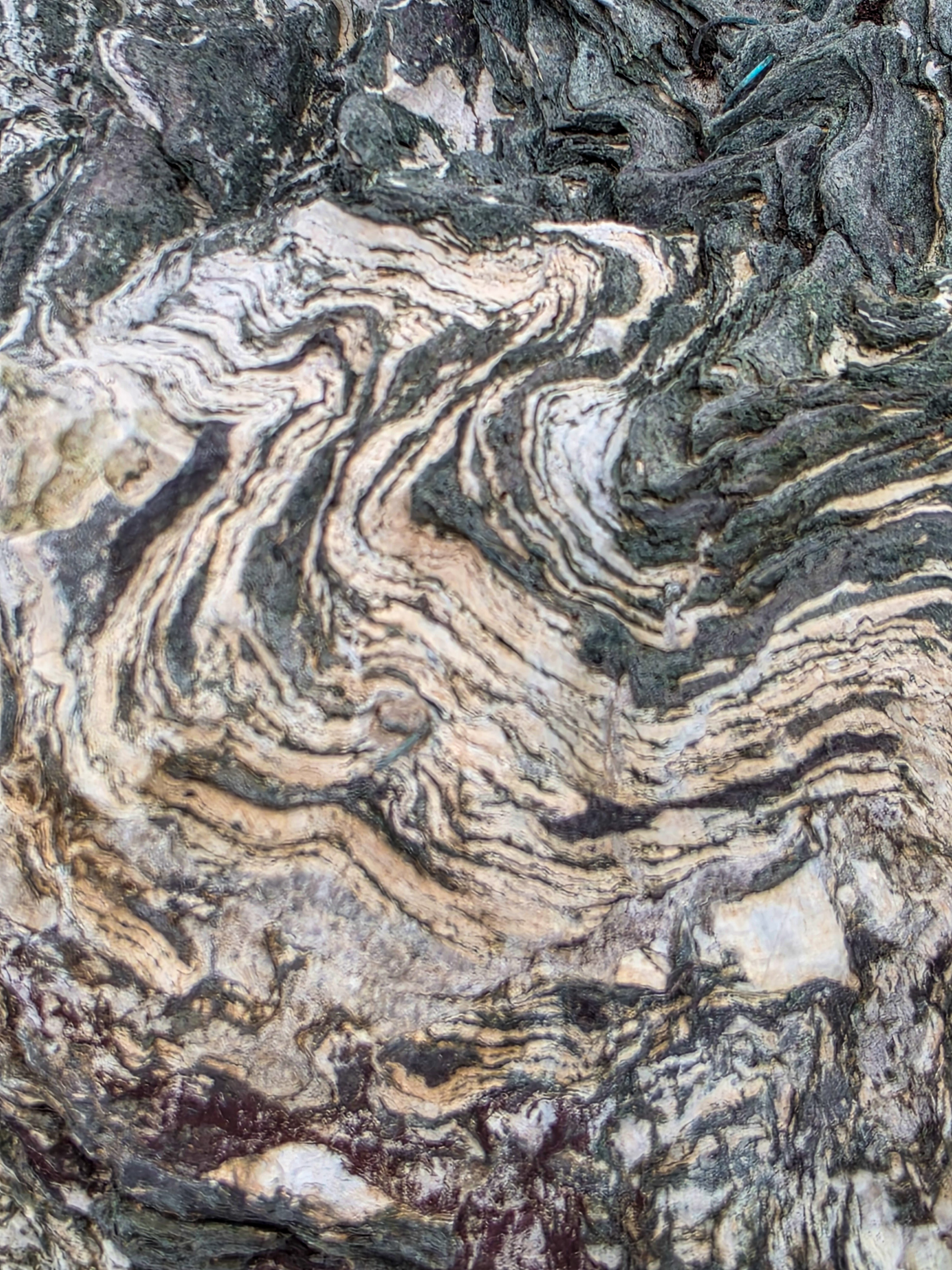 Ibigawa Felsen für Bonsai | Naturstein aus Japan 30x30x41cm