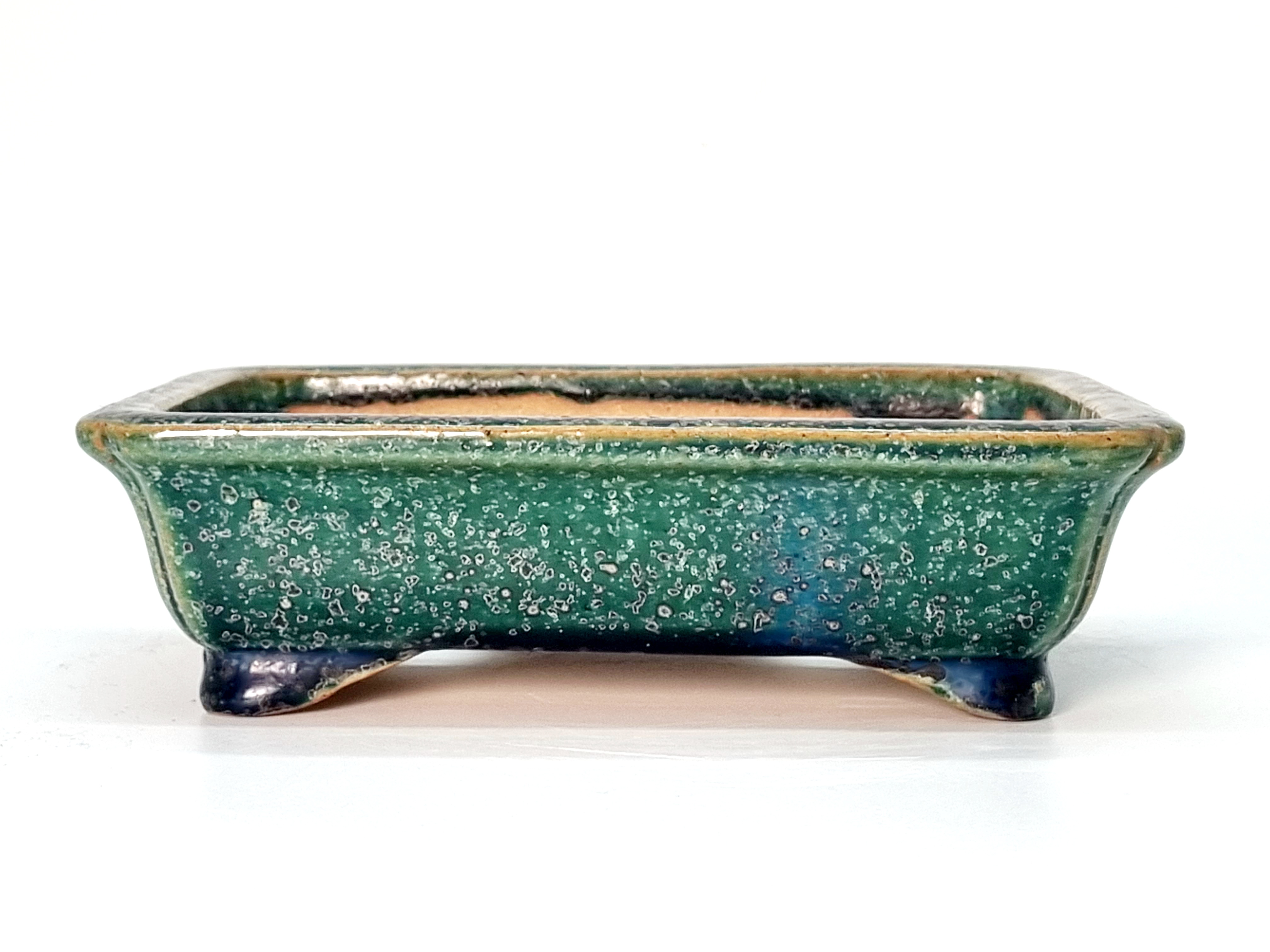 Bonsaischale Koyo Tokoname 17x 14x5cm