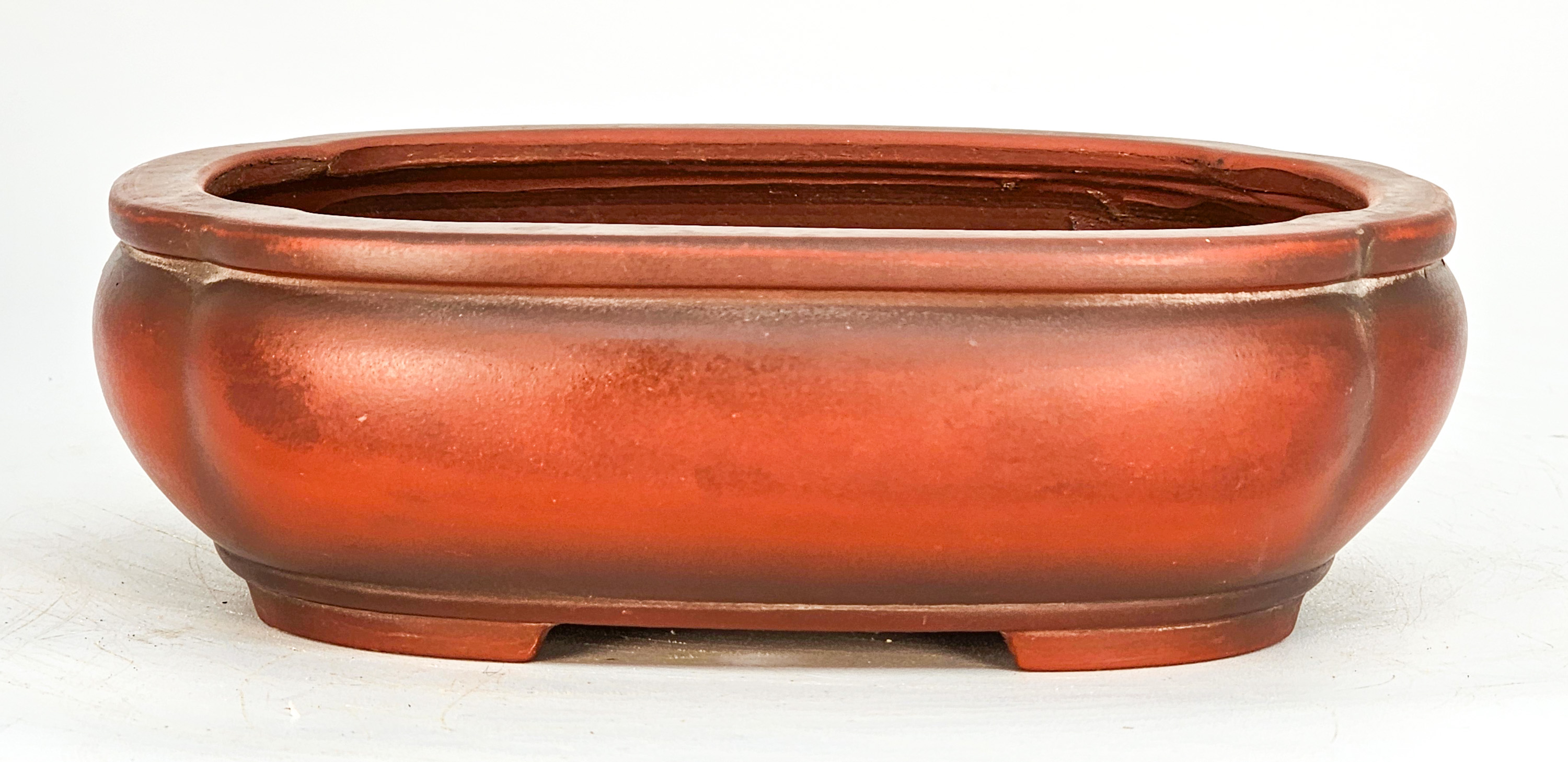Bonsaischale Bigei Japan 19x14,5x6cm