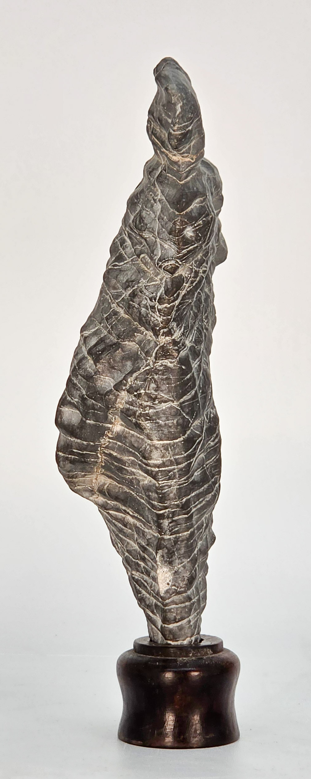 Suiseki aus den Apuanischen Alpen inkl. Daiza 23x11x6cm