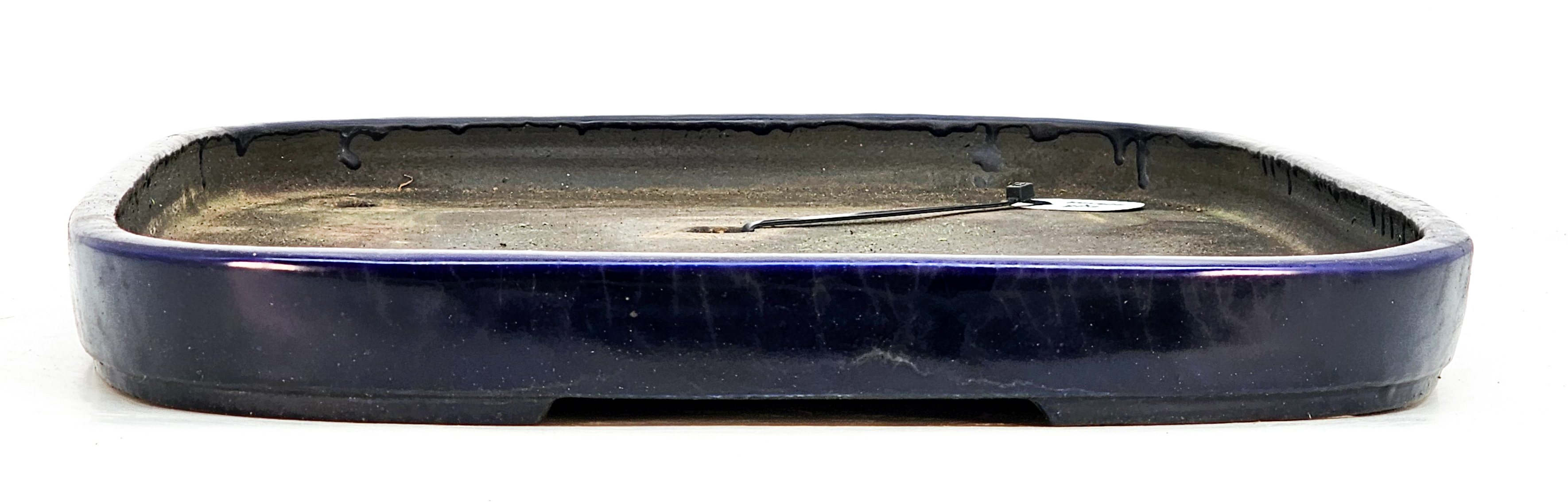 Bonsaischale Koyo Tokoname 49x37,5x4cm