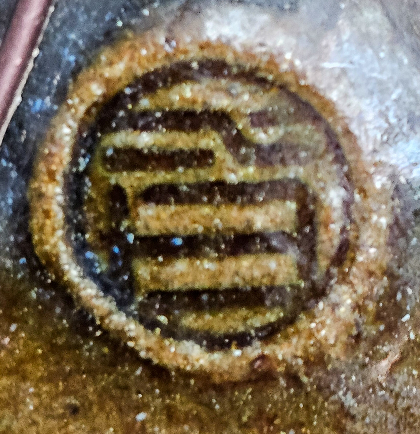 Bonsai Premium Fächerahorn - Acer Palmatum maihime Shohin 16cm