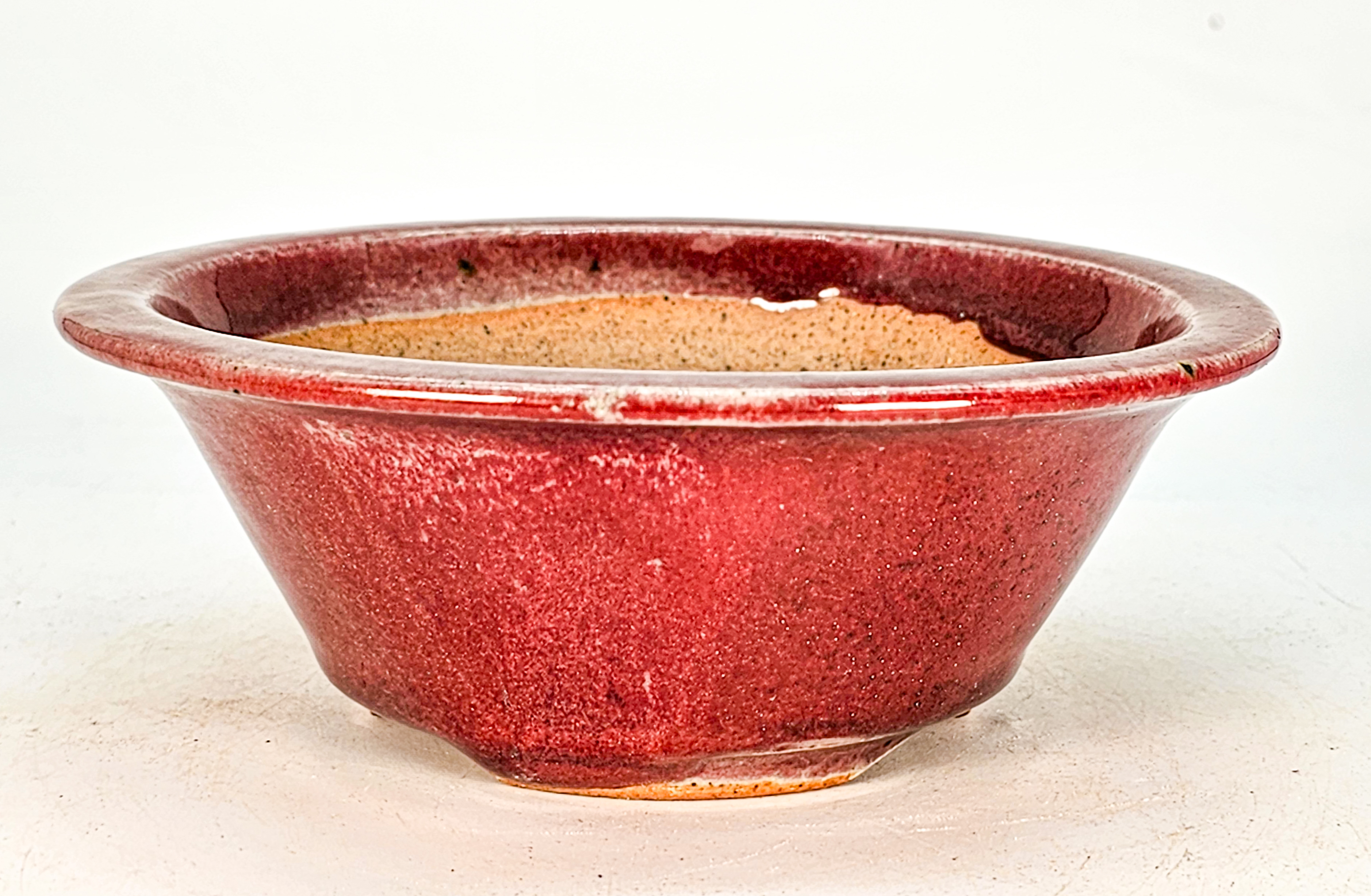 Bonsaischale Koyo Japan Tokoname 16x6cm