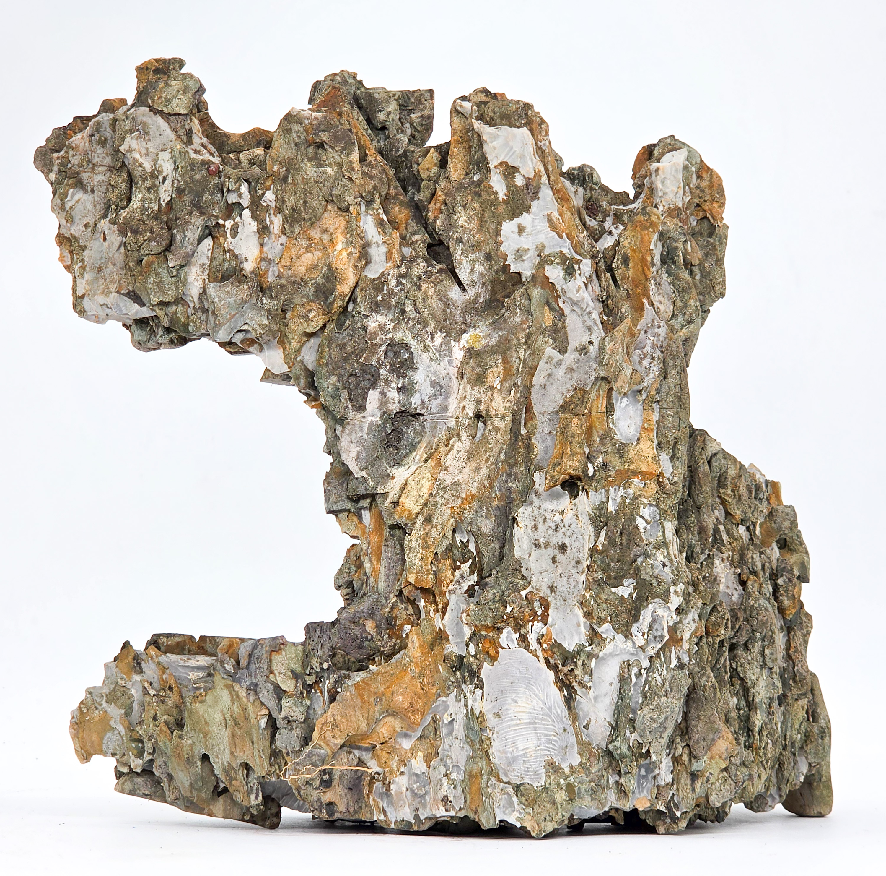 Ibigawa Felsen für Bonsai | Naturstein aus Japan 30x14x30cm