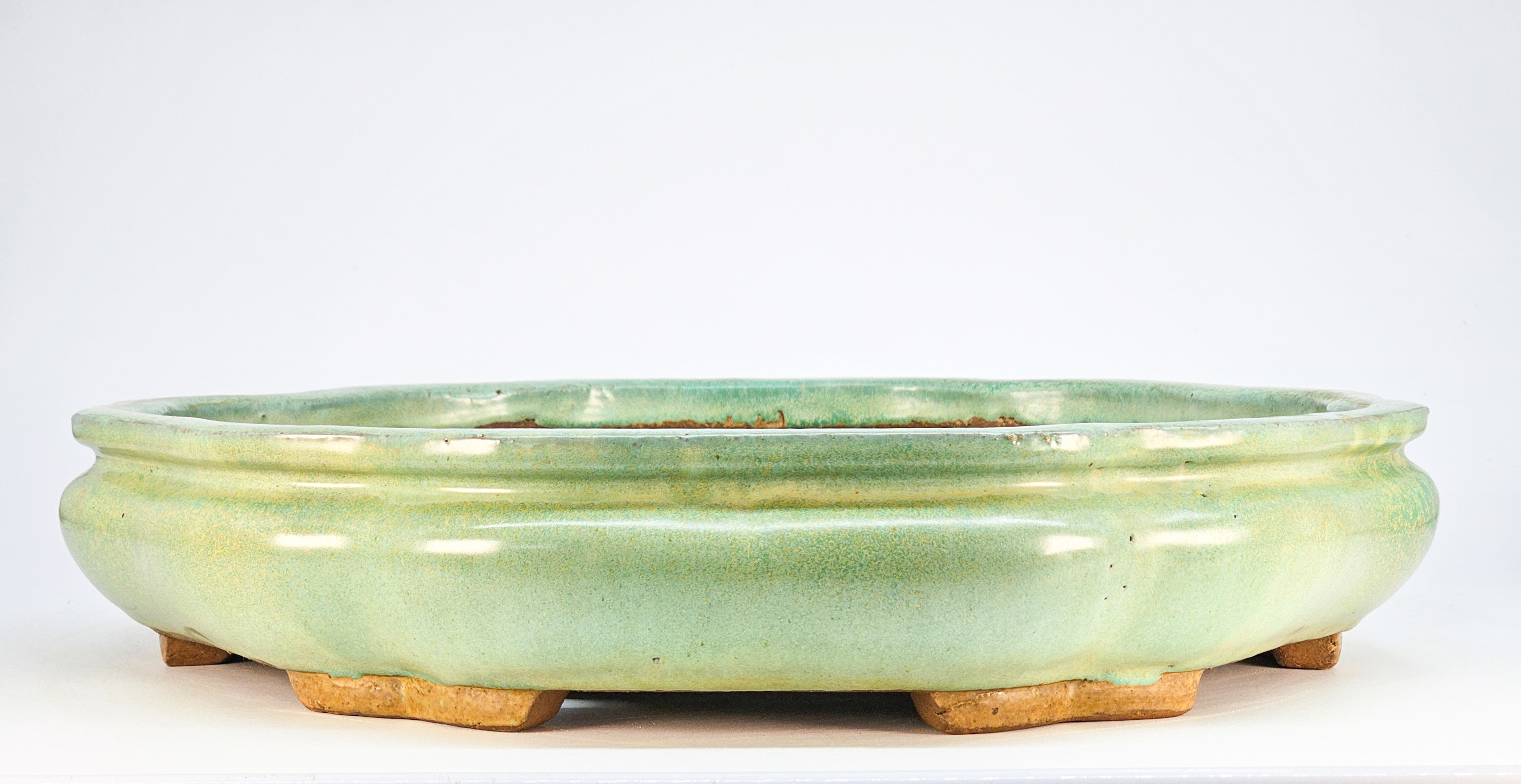 Bonsaischale Shuho Tokoname 40,5x8,0cm