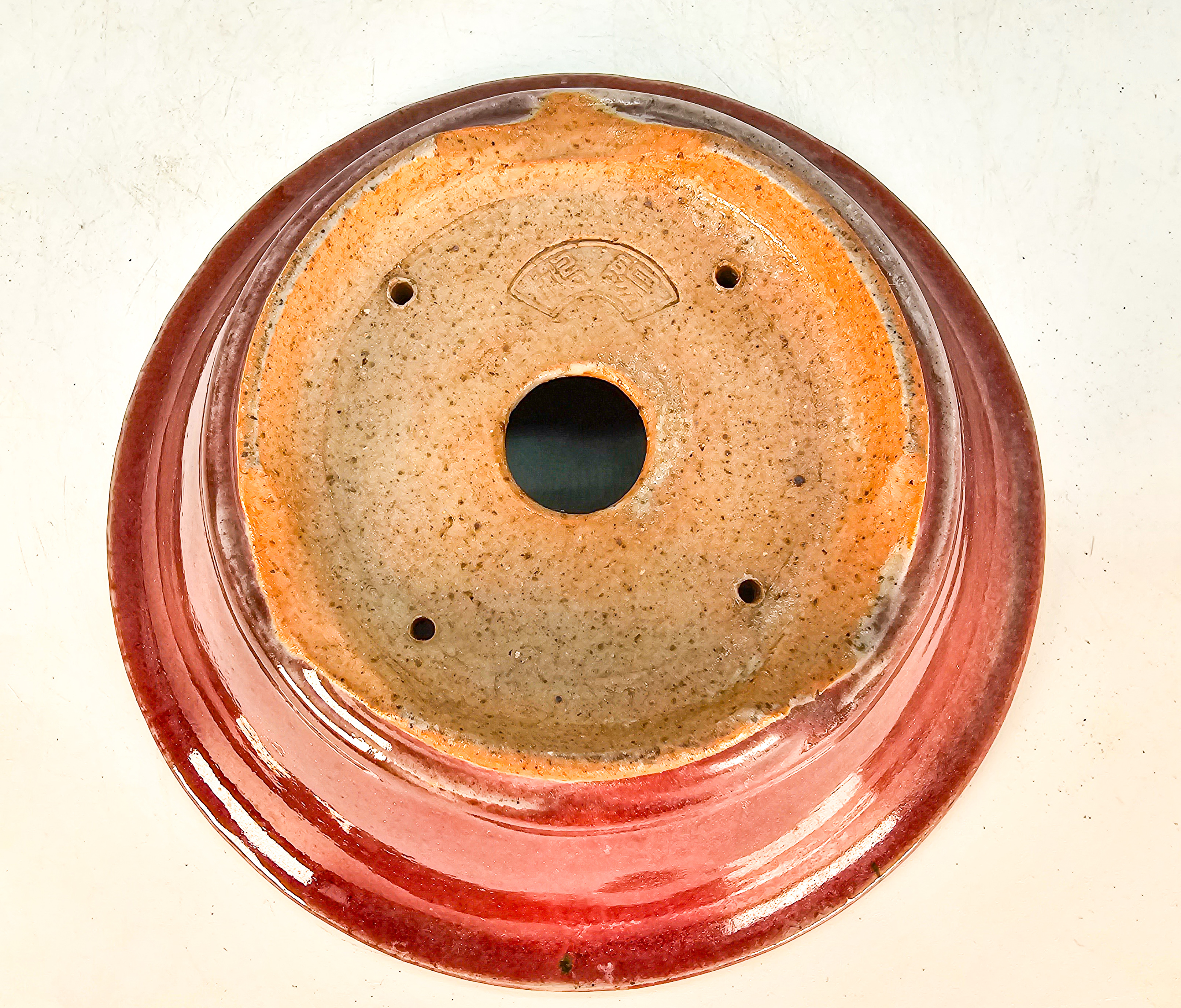 Bonsaischale Koyo Japan Tokoname 16x6cm