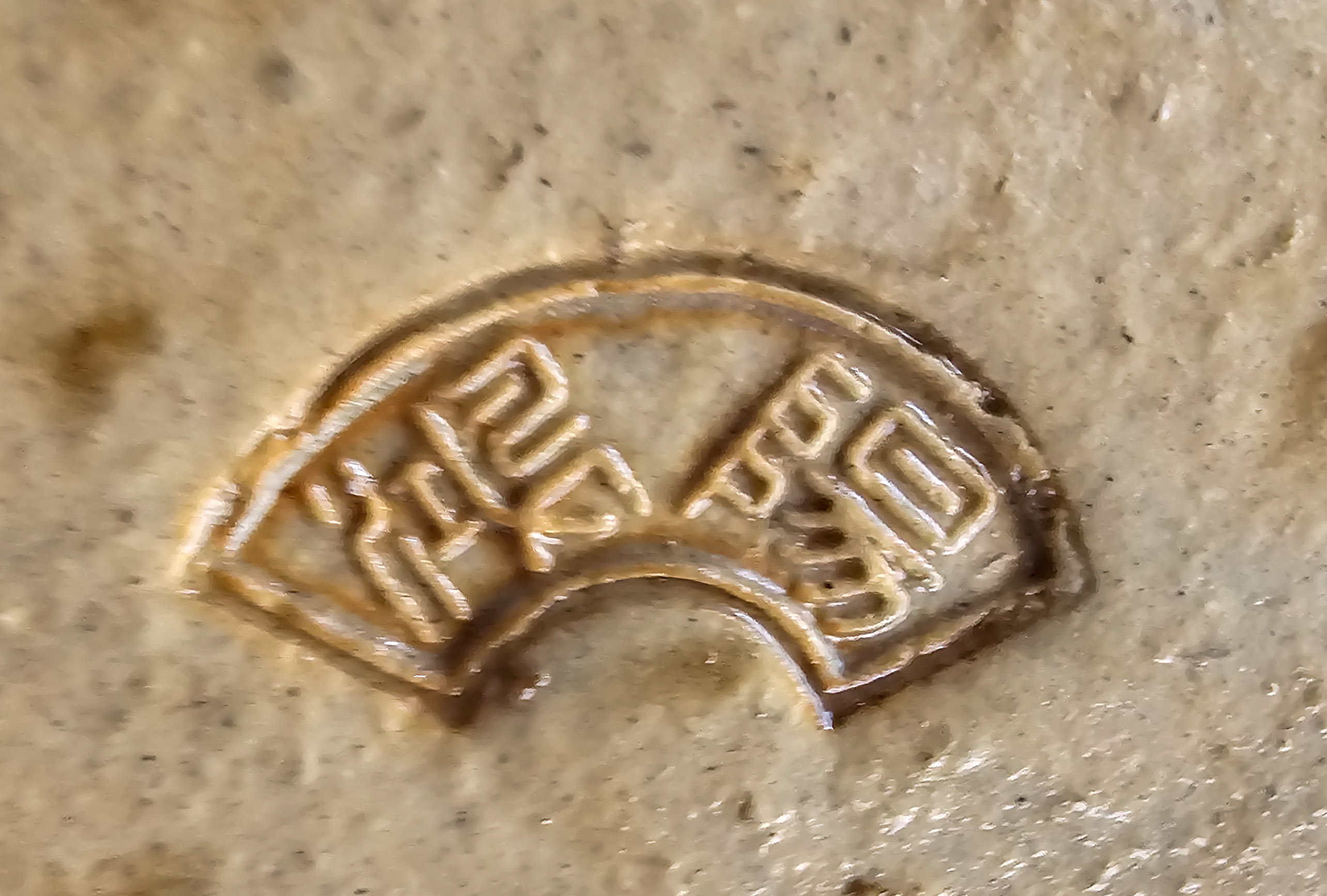 Bonsai Premium Japanischer Liguster - Ligustrum japonicum Shohin 20cm