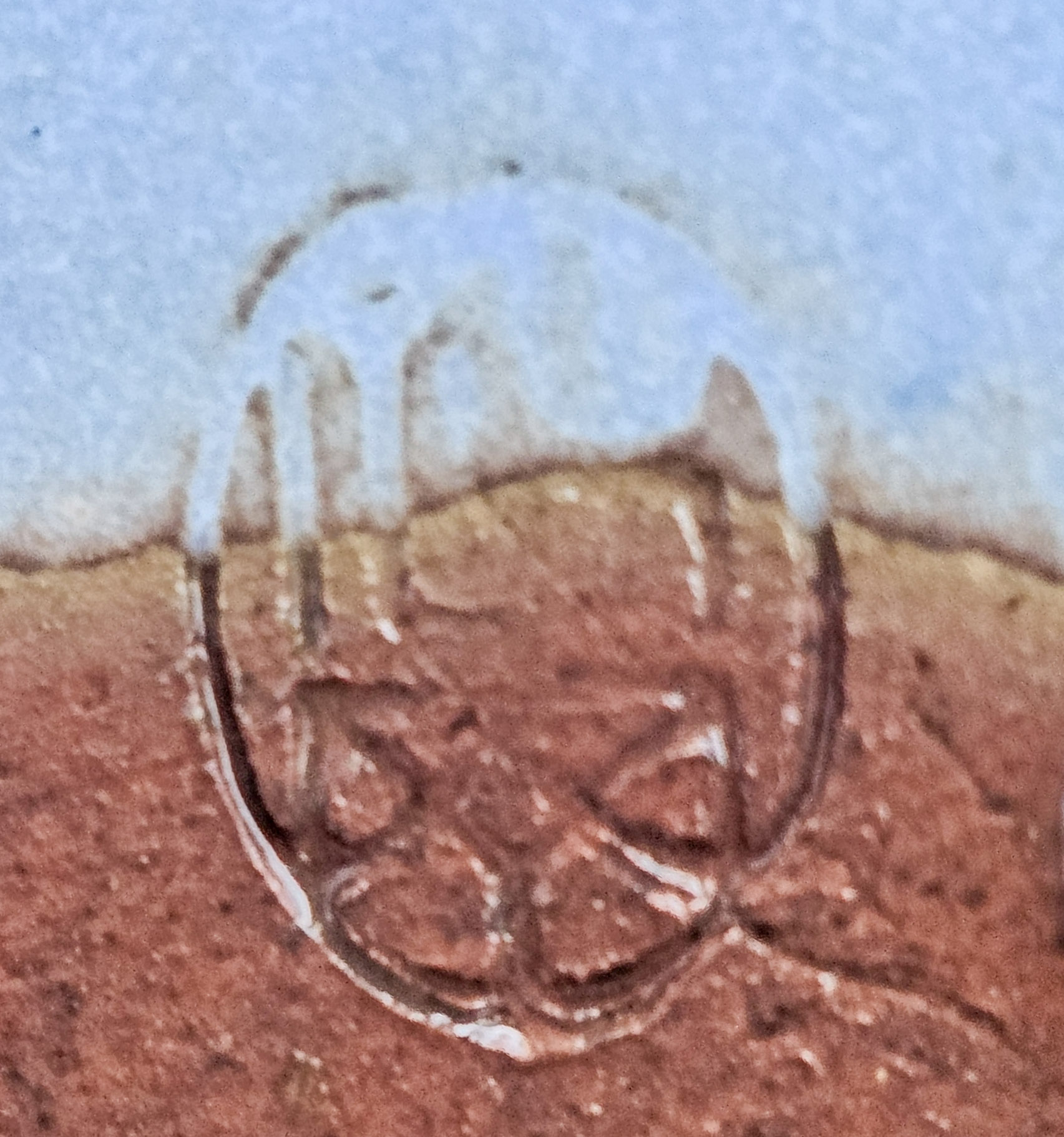 Bonsai Azalee - Rhododendron indicum Hanabin 54cm  