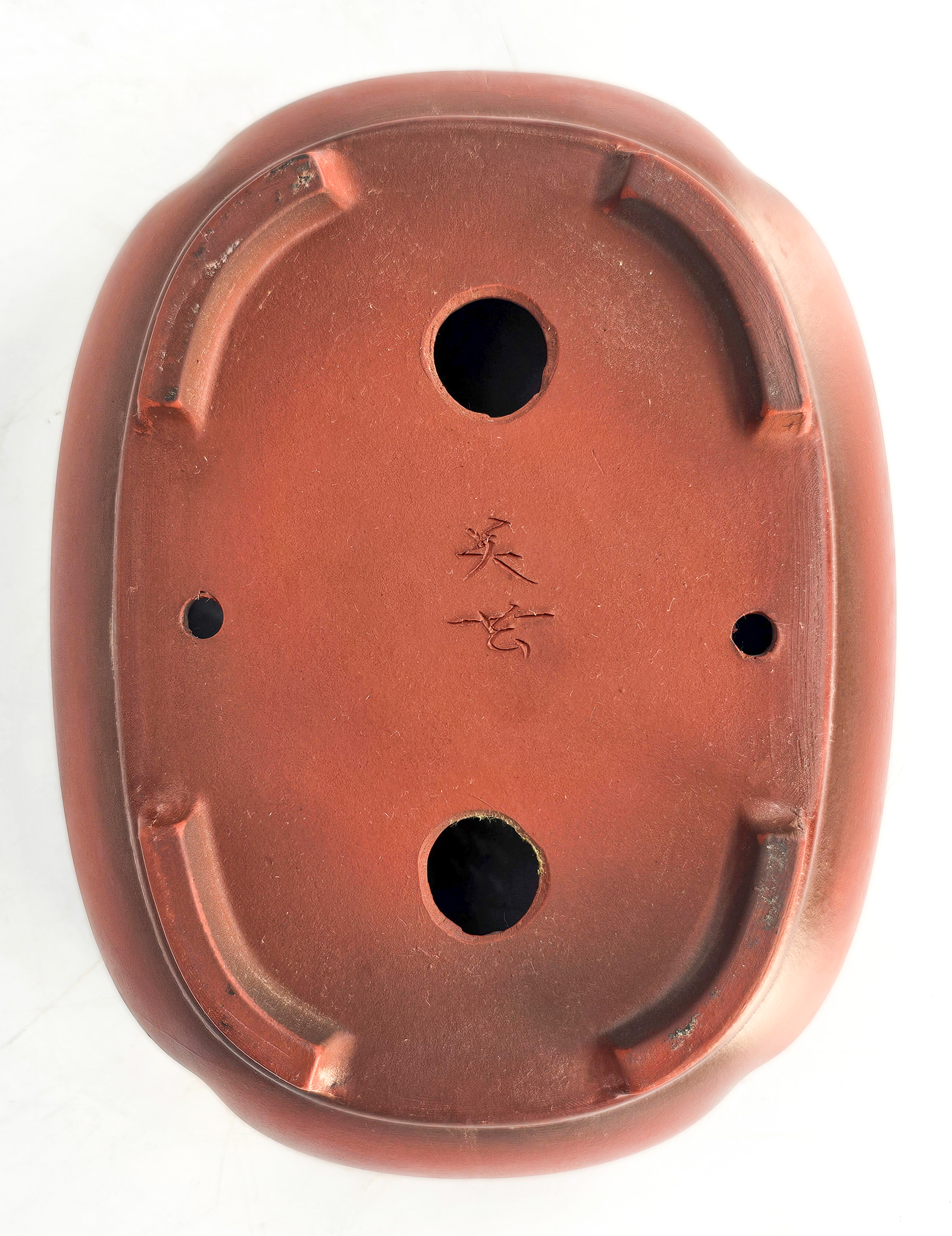 Bonsaischale Bigei Japan 19x14,5x6cm