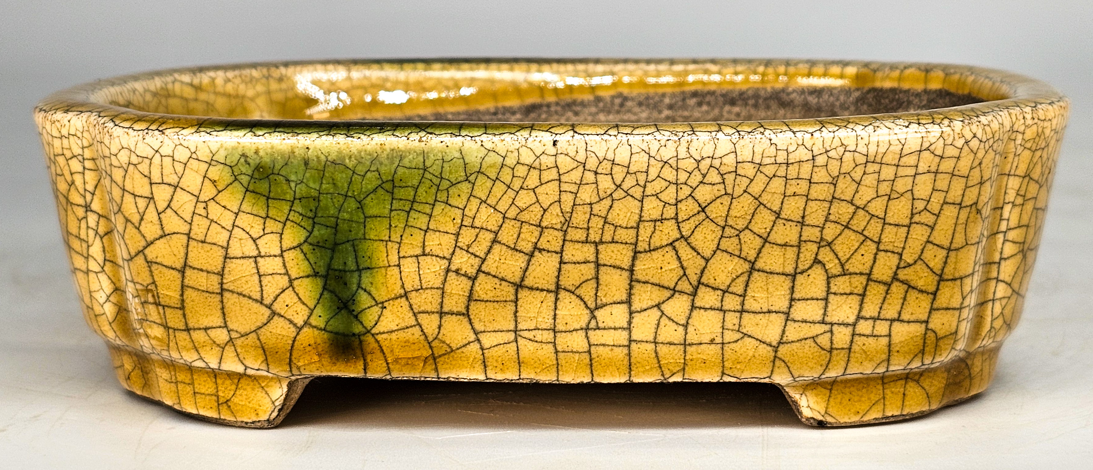 Bonsaischale Satomi Japan 16,2x12x4,5cm    