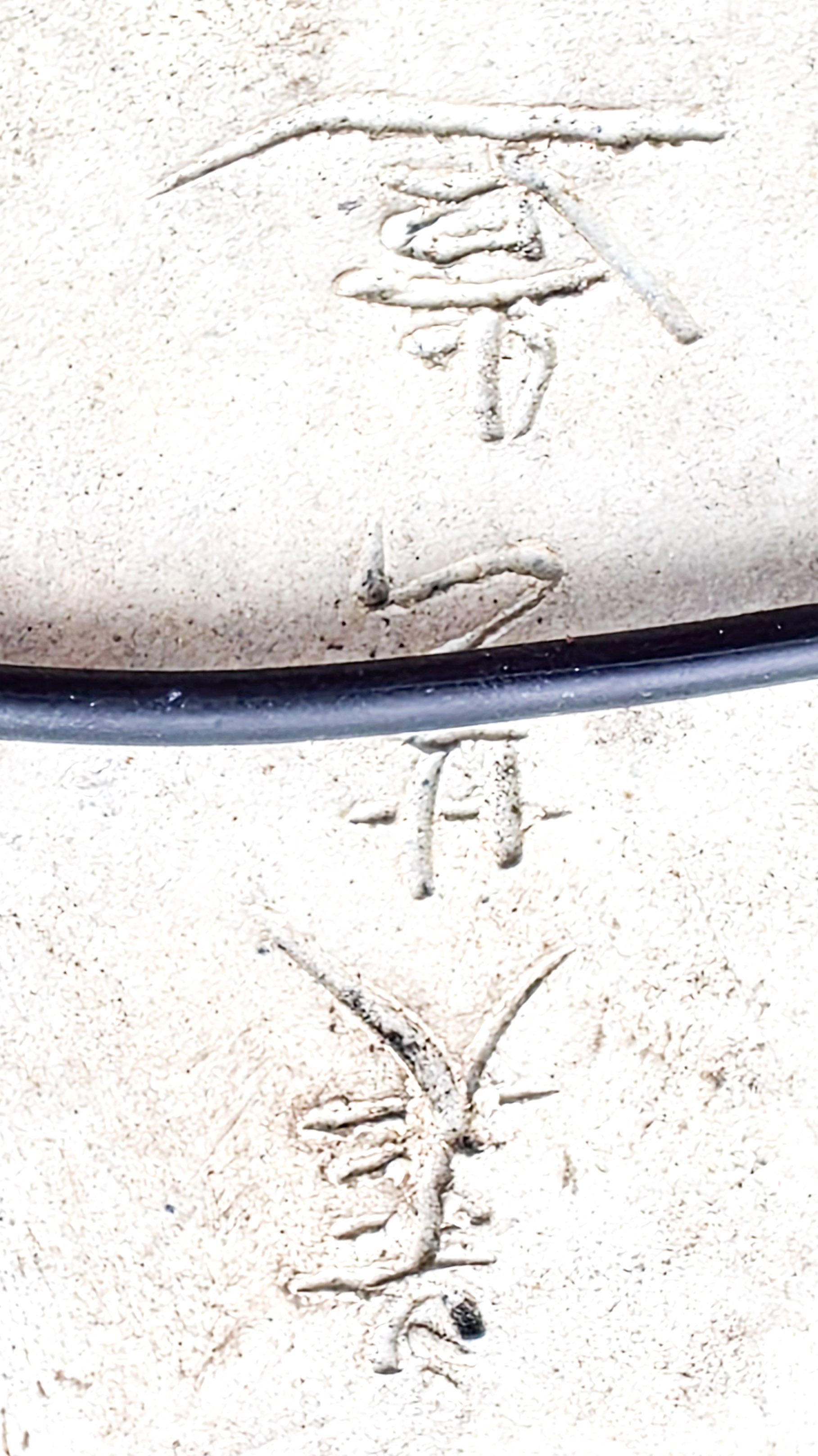 Bonsai Dreispitzahorn - Acer buergerianum 17cm