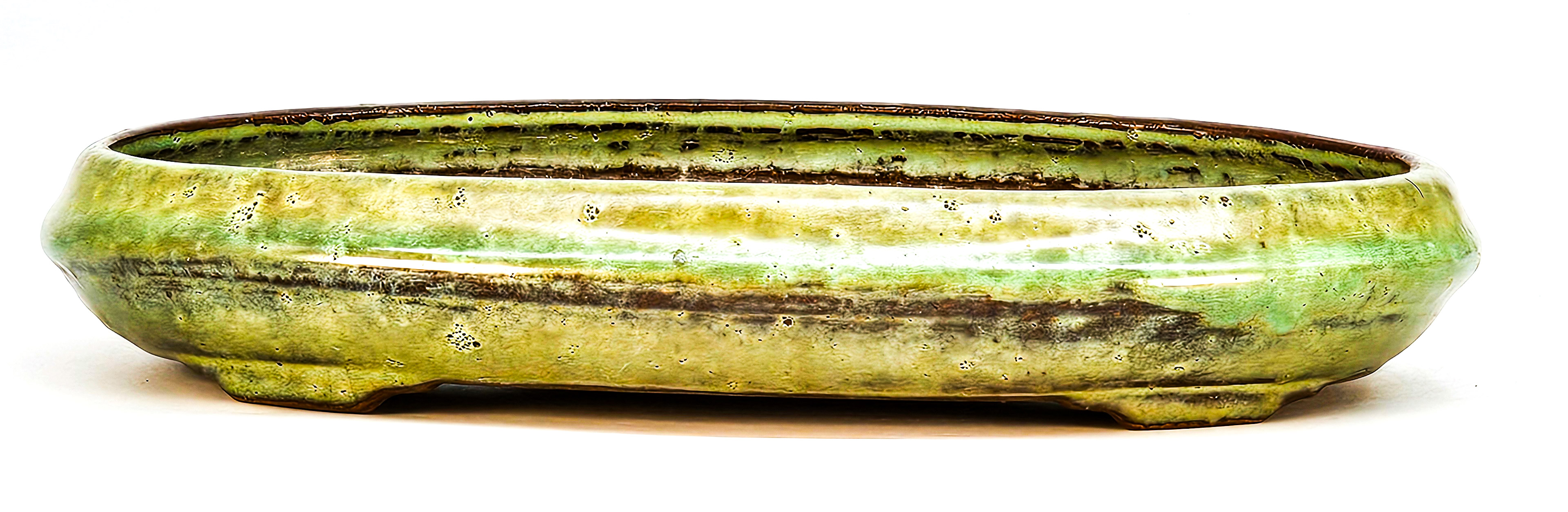 Bonsaischale Tousuien zou 24,4 x 17x 4,2cm 