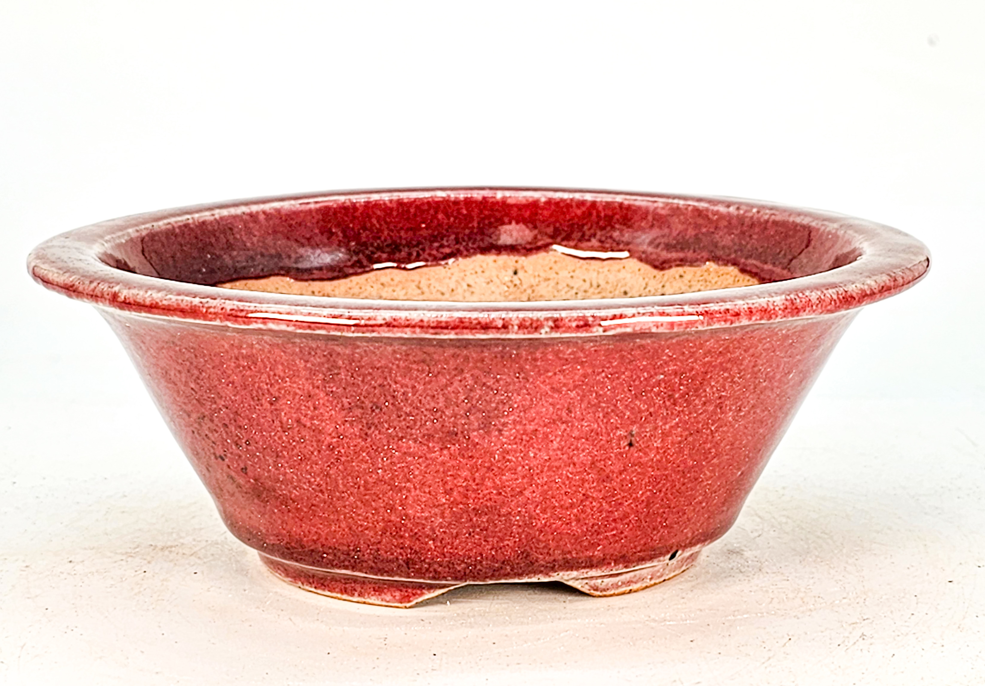 Bonsaischale Koyo Japan Tokoname 16x6cm