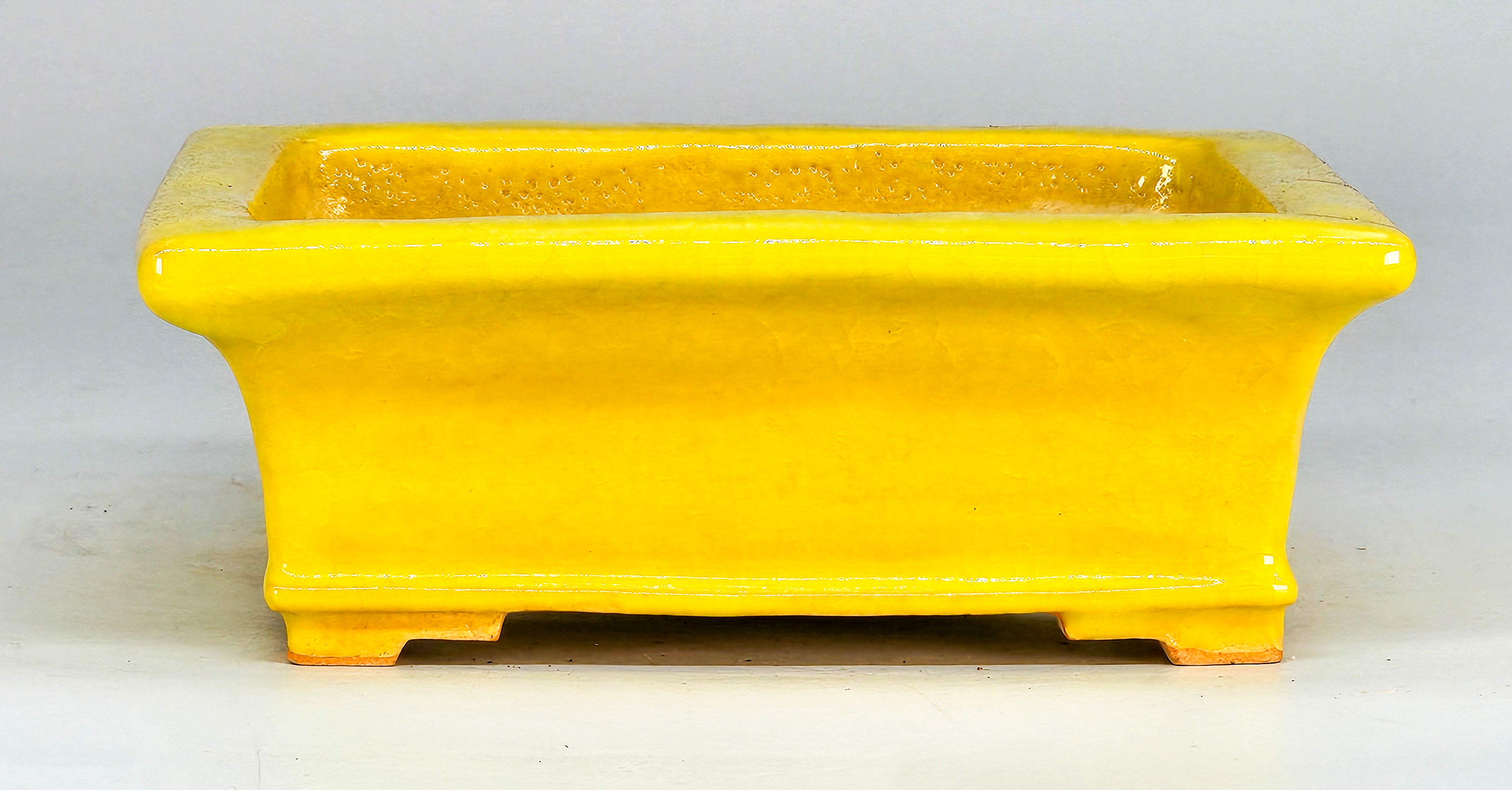 Bonsaischale Keiun Fukuda Japan 16x13,5x5,5cm