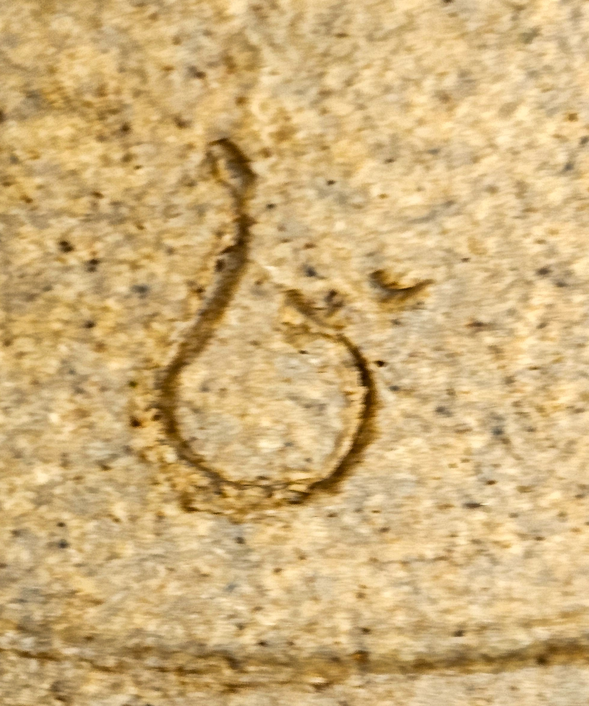 Bonsai Premium  Fächerahorn - Acer palmatum Shohin 17cm