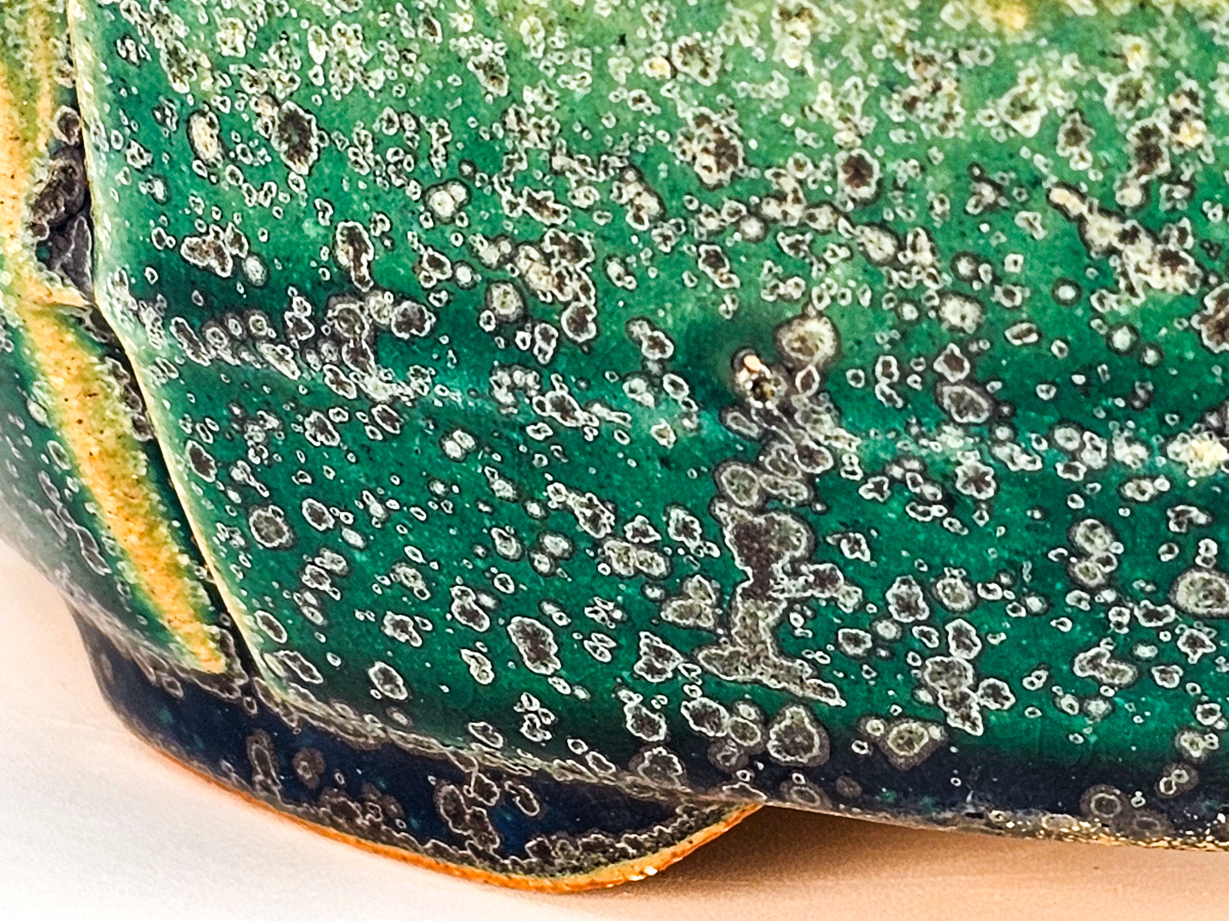 Bonsaischale Koyo Tokoname 20x17,5x5,5cm  