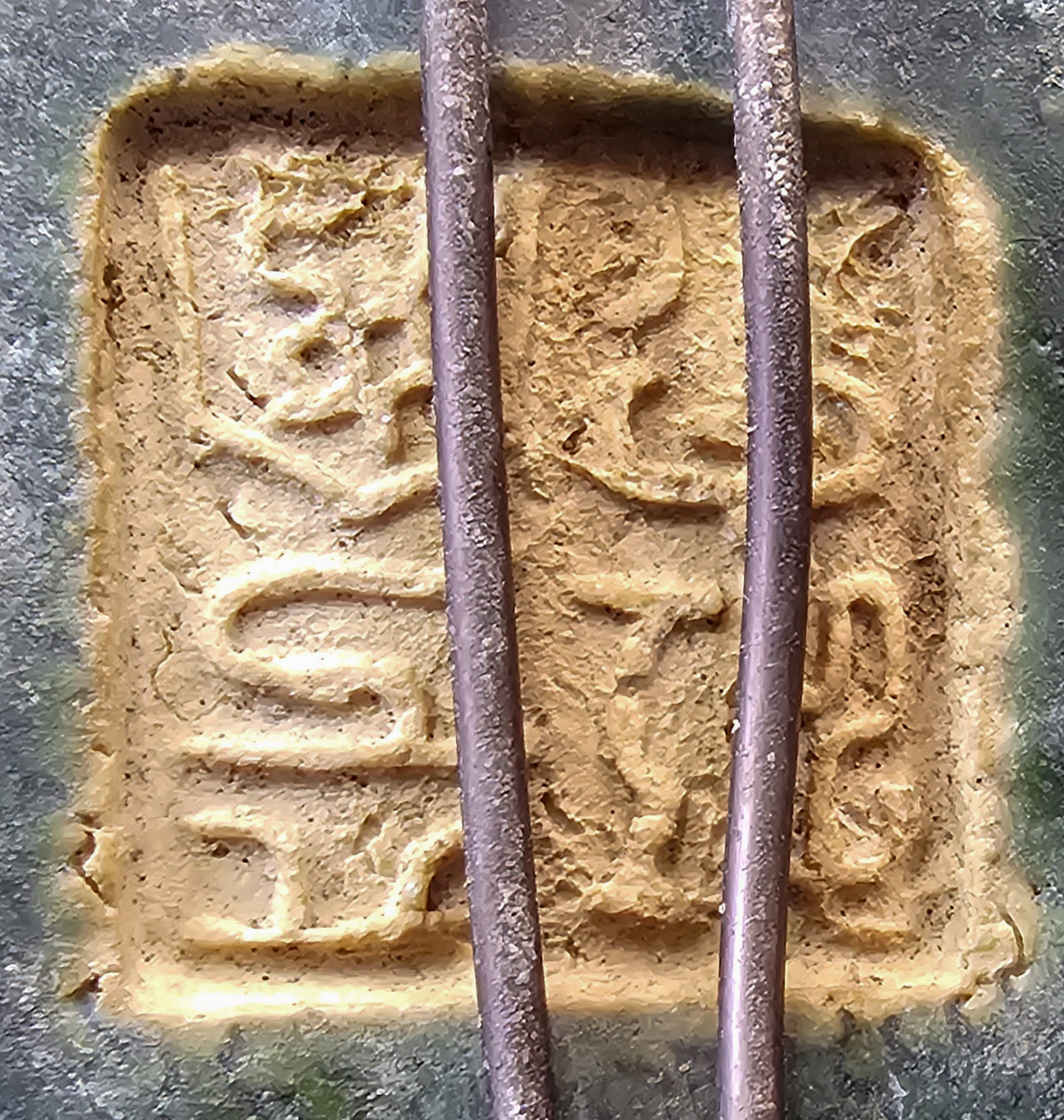 Bonsai Dreispitzahorn - Acer buergerianum Ishizuki Shohin 17cm  