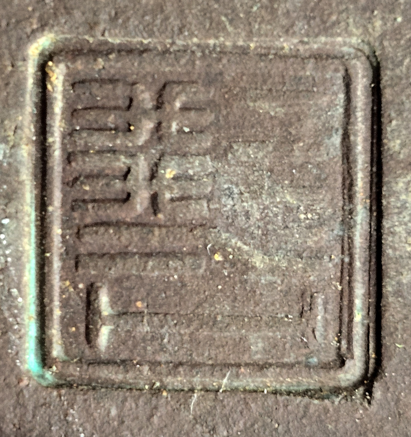 Bonsai Premium Fächerahorn - Acer palmatum Shohin 16cm