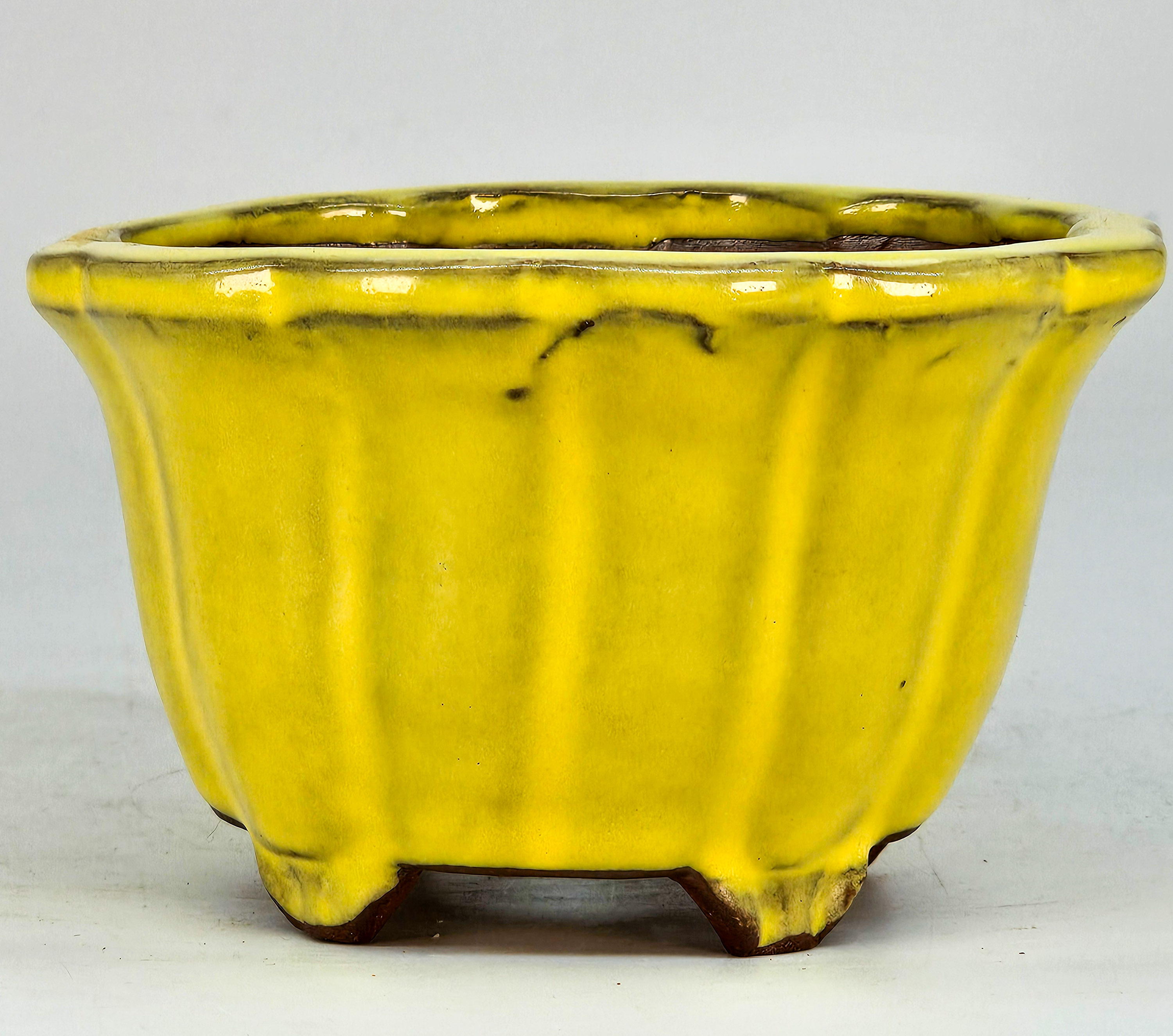 Bonsaischale Yozan Tokoname 11,5x7cm