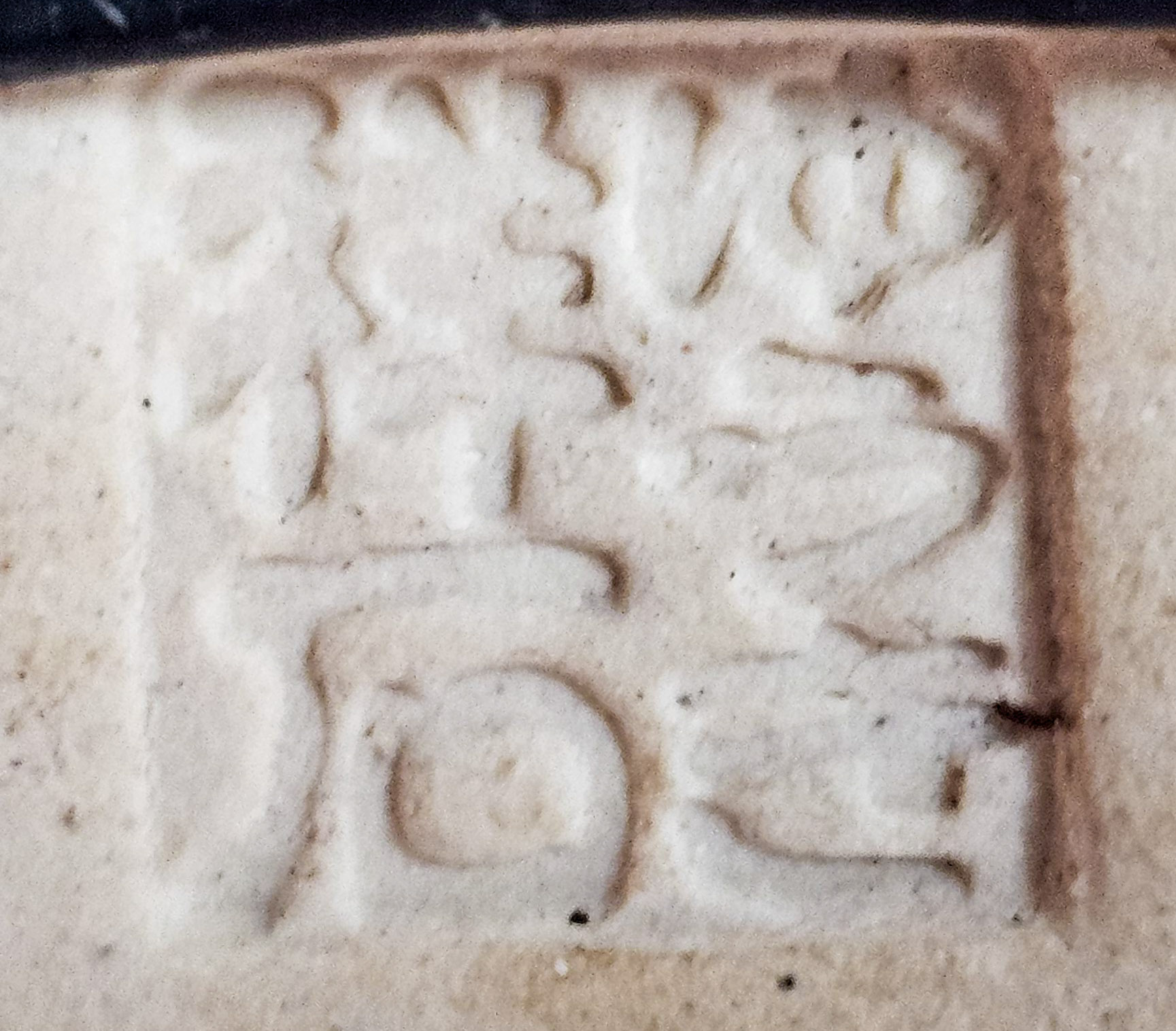 Bonsai Quitte - Pseudocydonia sinensis Shohin 21cm