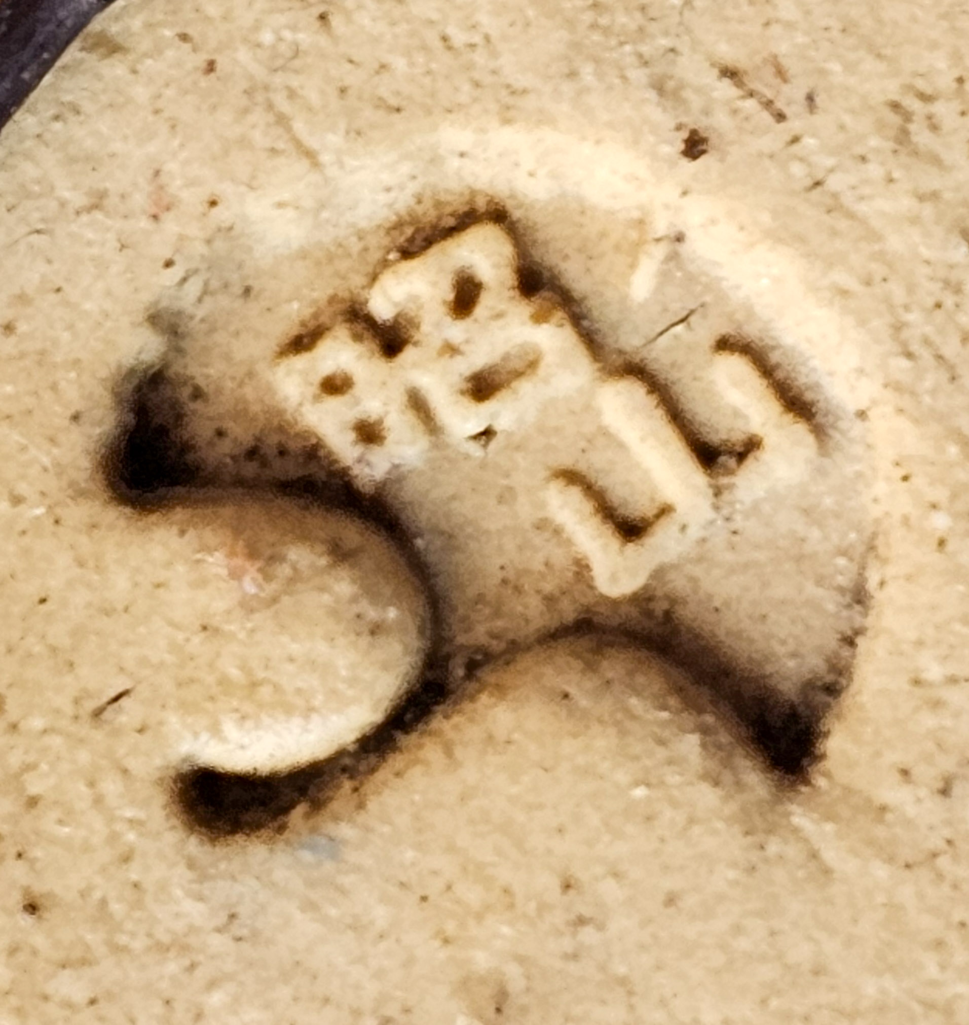 Bonsai Jap. Winterbeere - Ilex serrata Shohin 10cm