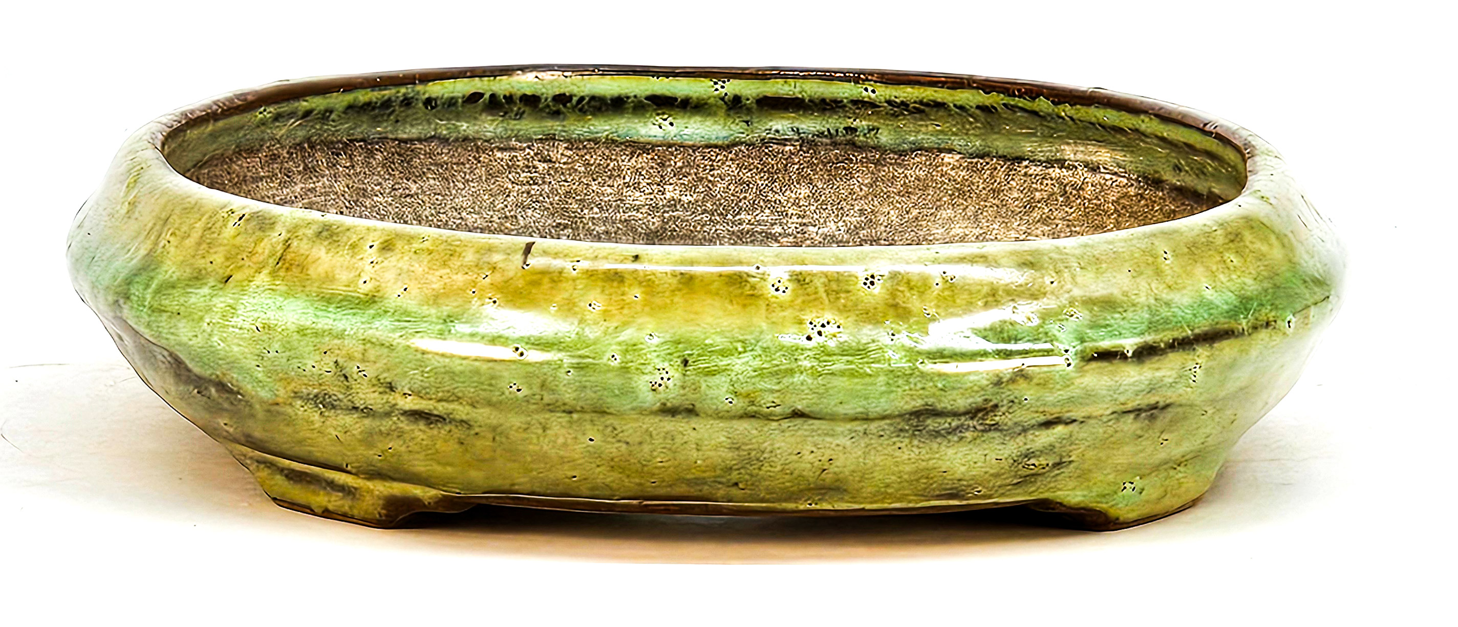 Bonsaischale Tousuien zou 24,4 x 17x 4,2cm 