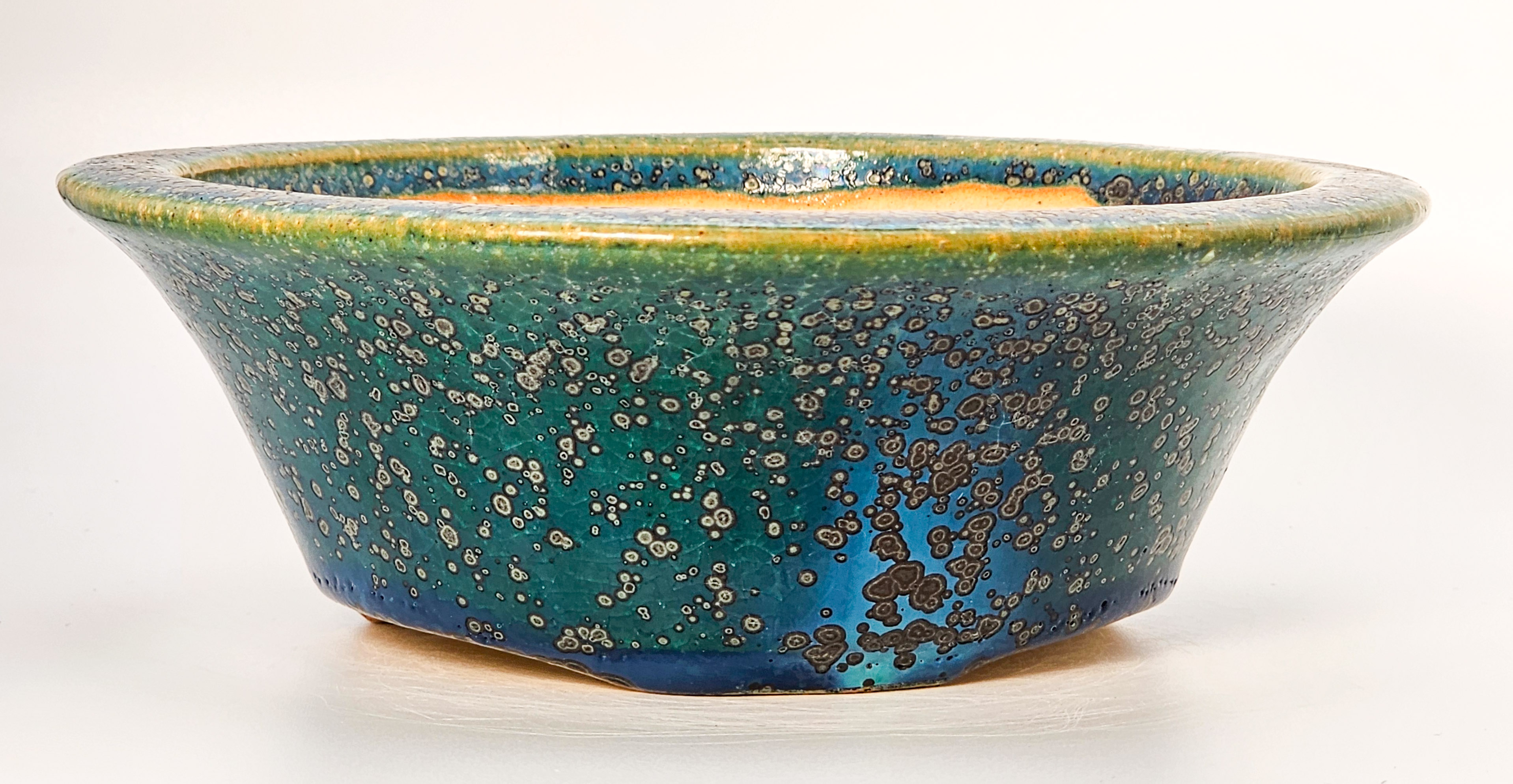 Bonsaischale Koyo, Sonderedition Expo 2025, Tokoname Japan 17x5,5cm