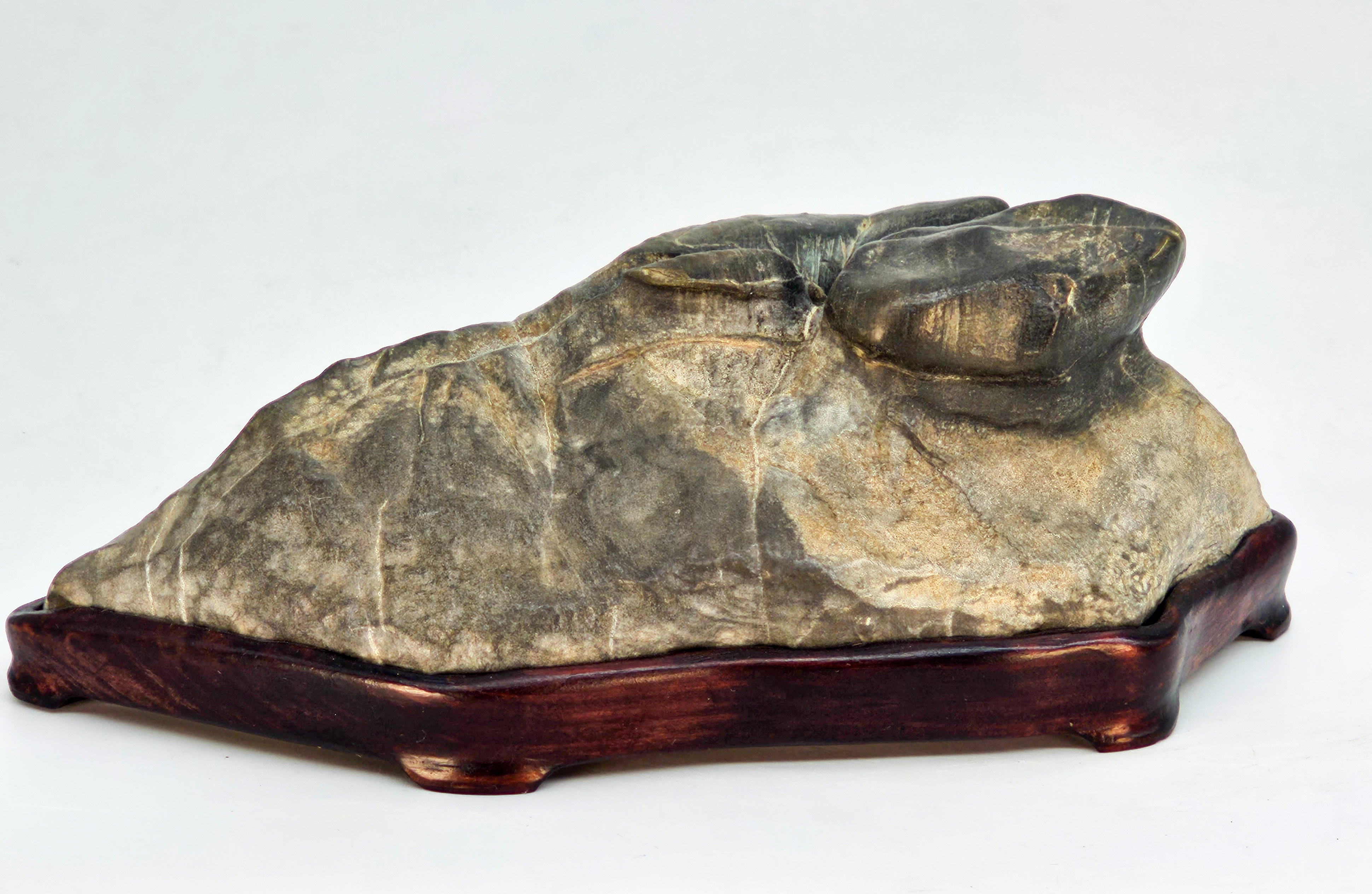 Suiseki aus den Apuanischen Alpen inkl. Daiza 18x9x6,5cm