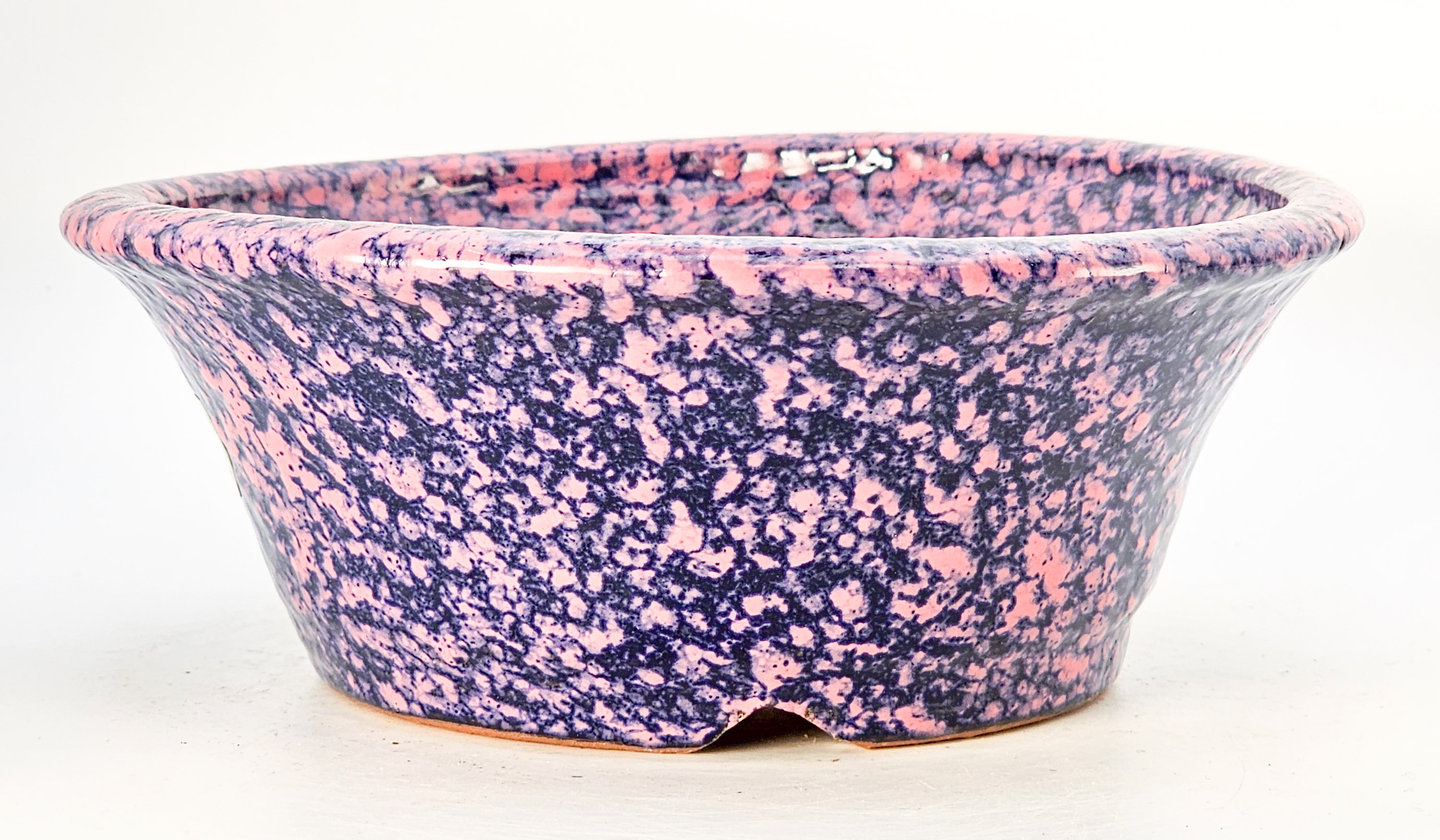 Bonsaischale Shuho Tokoname 16x6cm