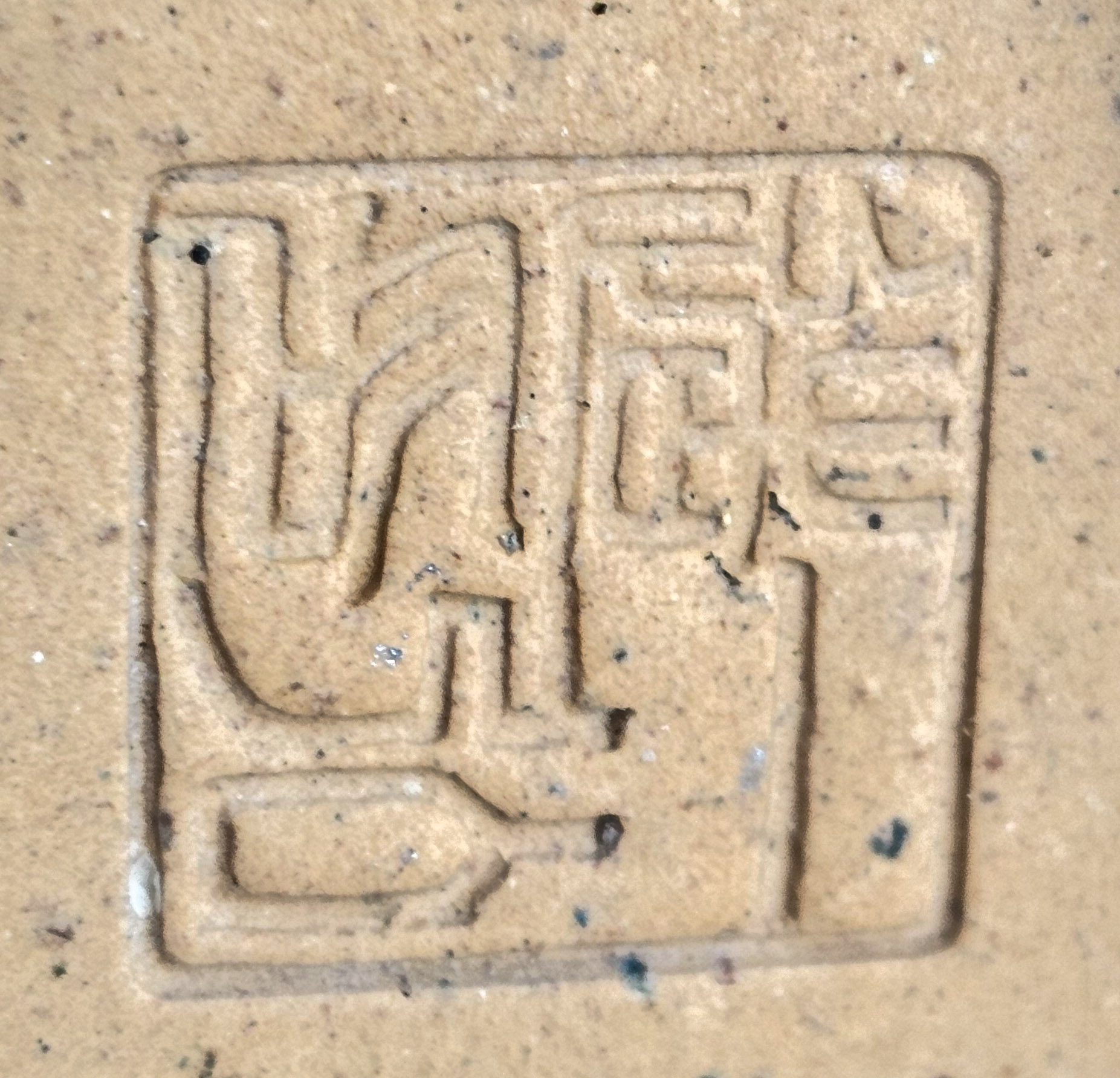 Bonsai Azalee - Rhododendron indicum - Hikorin 24cm