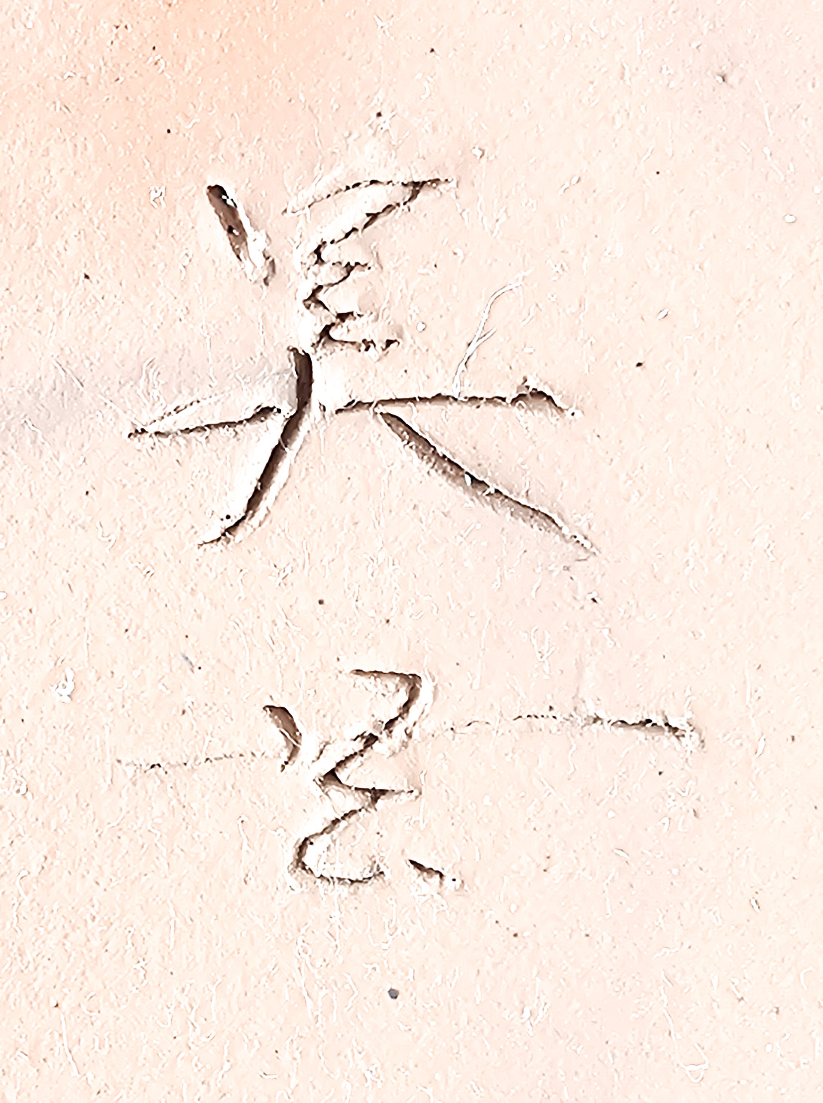 Bonsaischale Bigei Japan 19,8x14x4,7cm