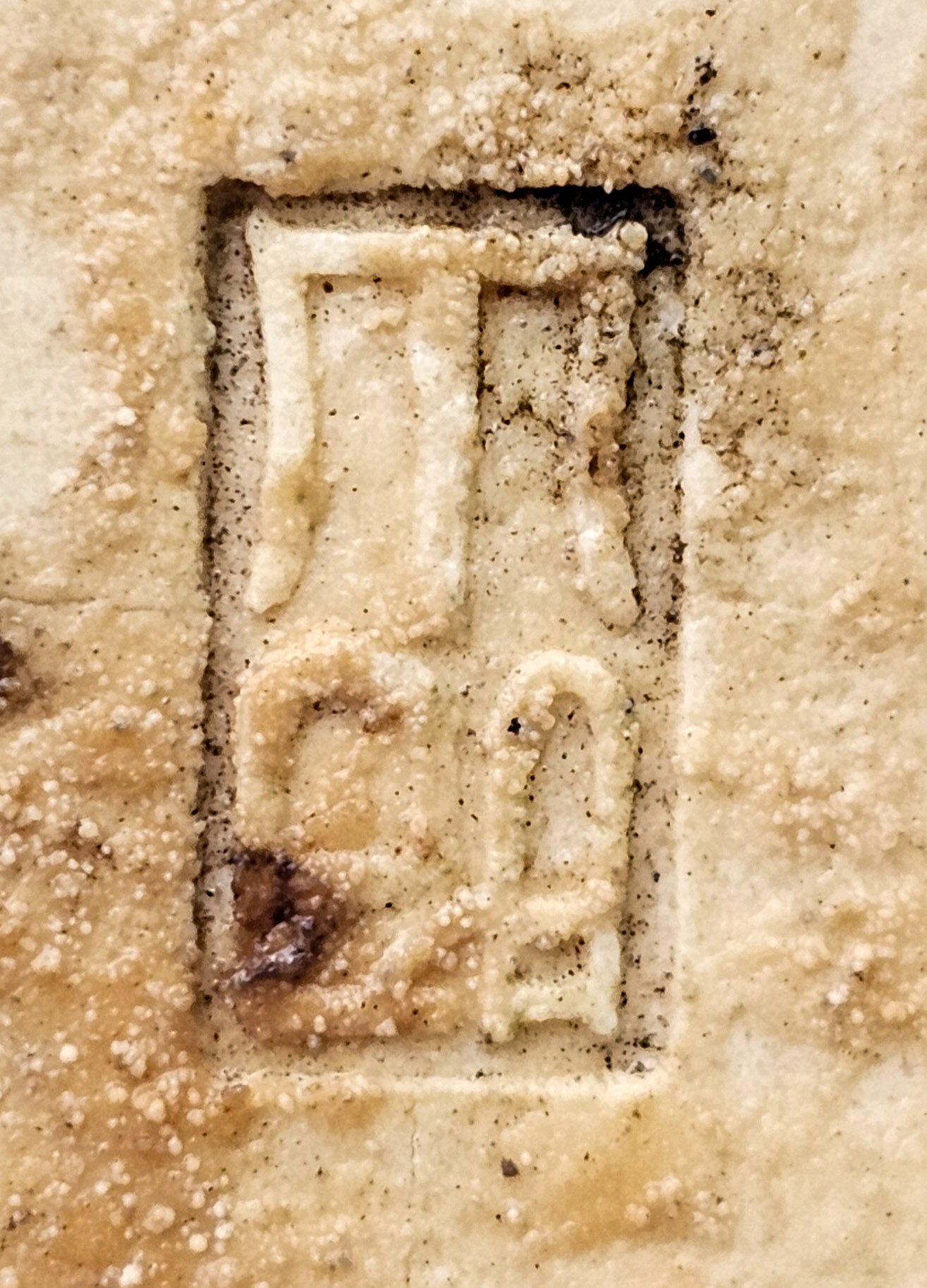 Bonsai Azalee - Rhododendron indicum - Shugestu Shohin 18cm