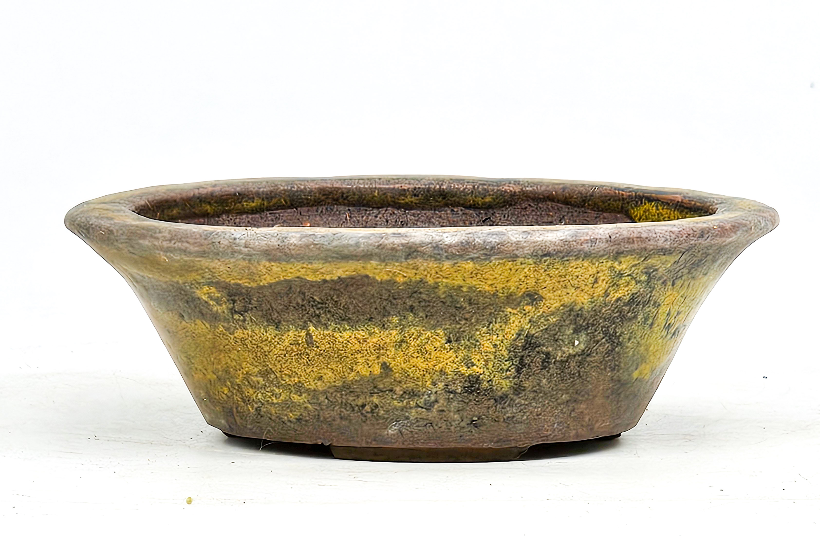 Bonsaischale Echizen Japan 10,5x3,4cm