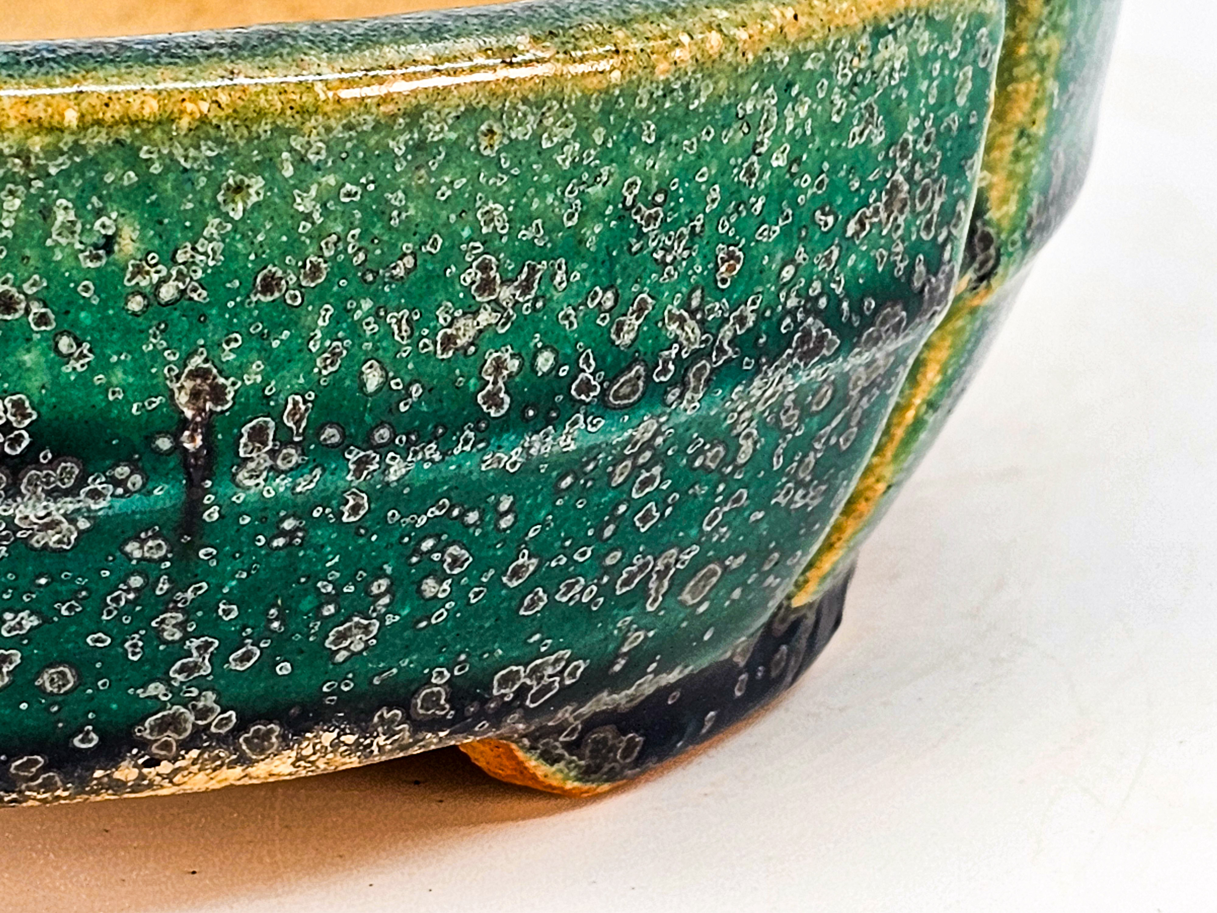 Bonsaischale Koyo Tokoname 20x17,5x5,5cm  