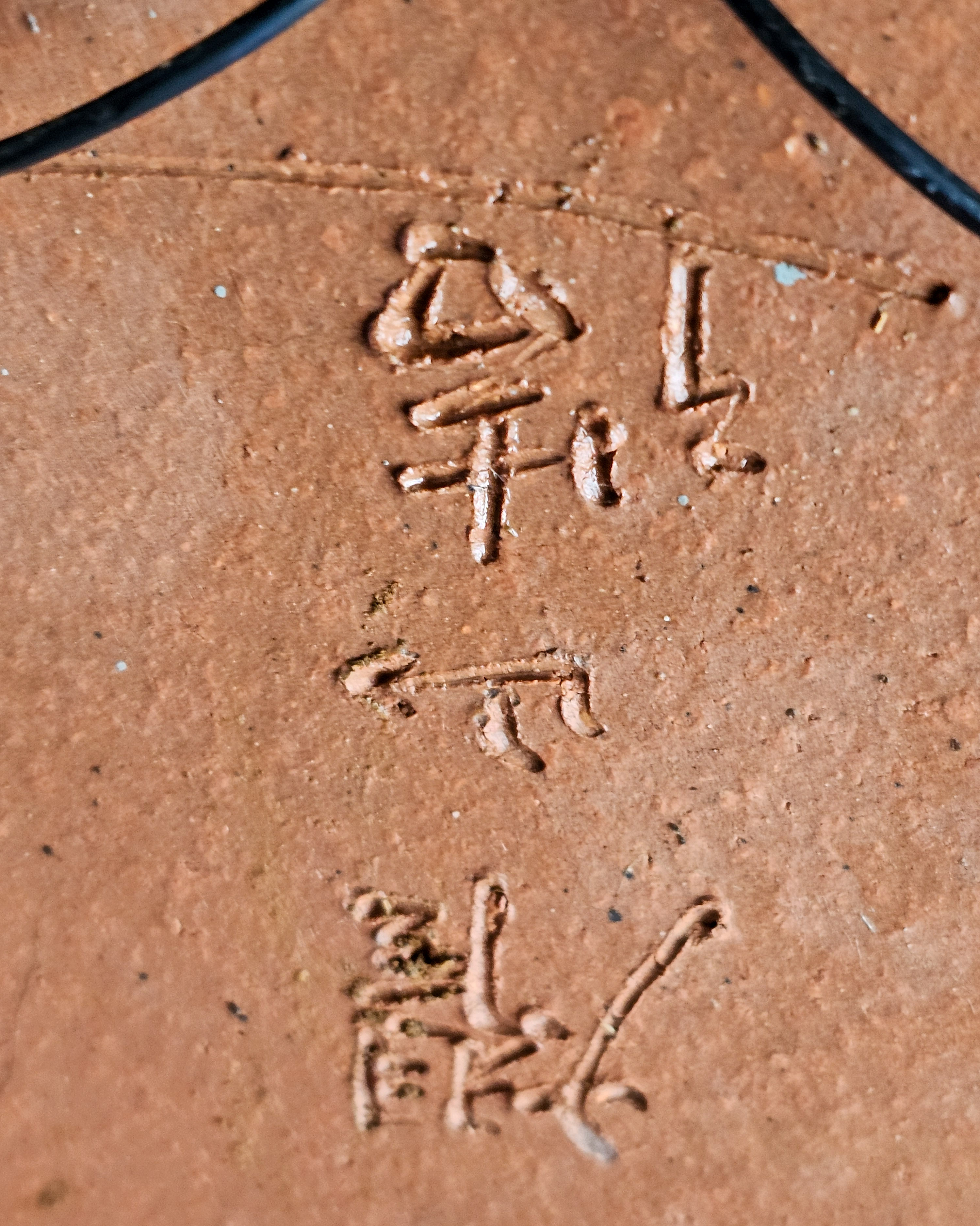 Bonsai Premium Fächerahorn - Acer palmatum Deshojo Shohin 21cm   