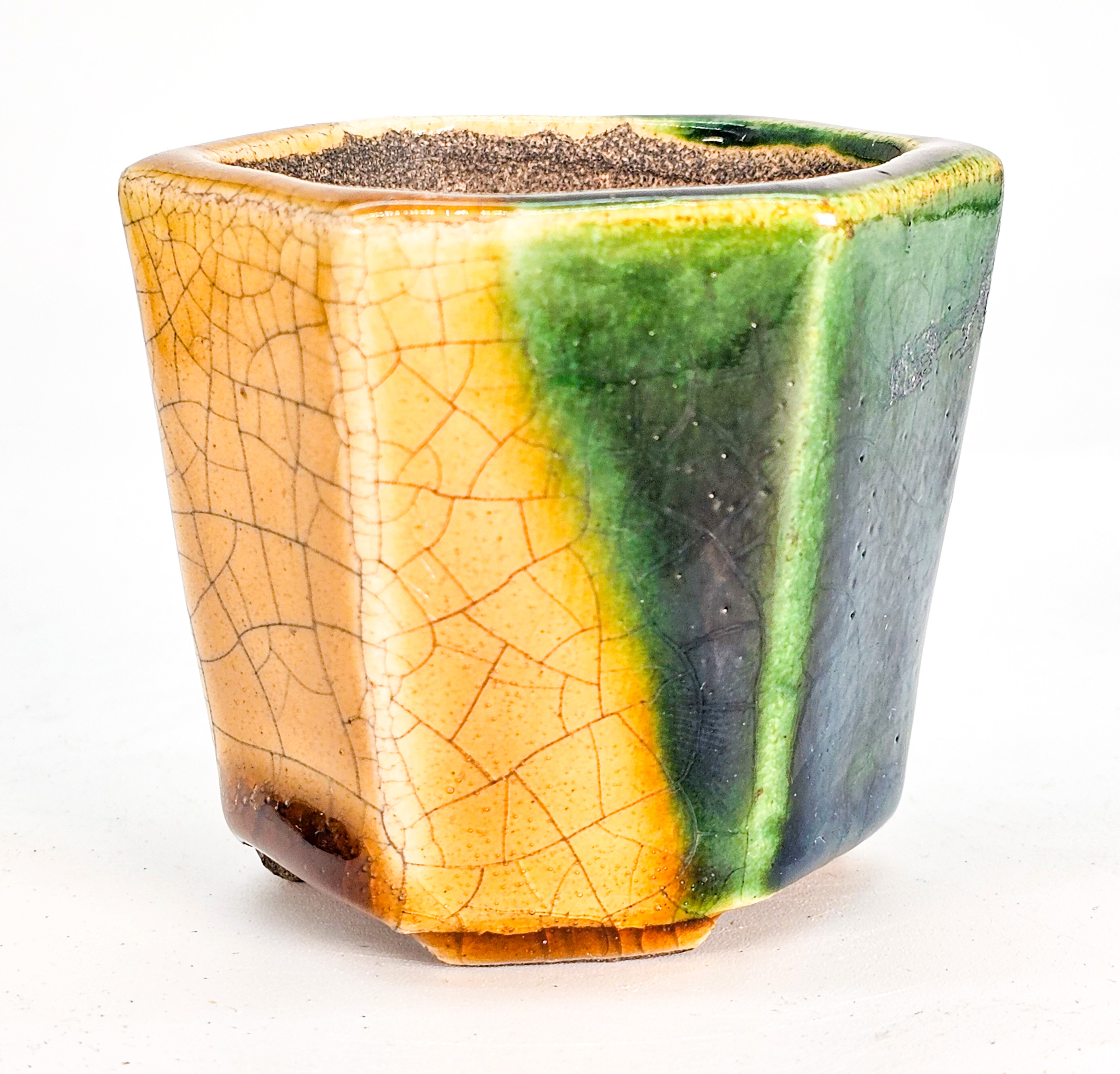 Bonsaischale Terahata Satomi 7x6,2cm