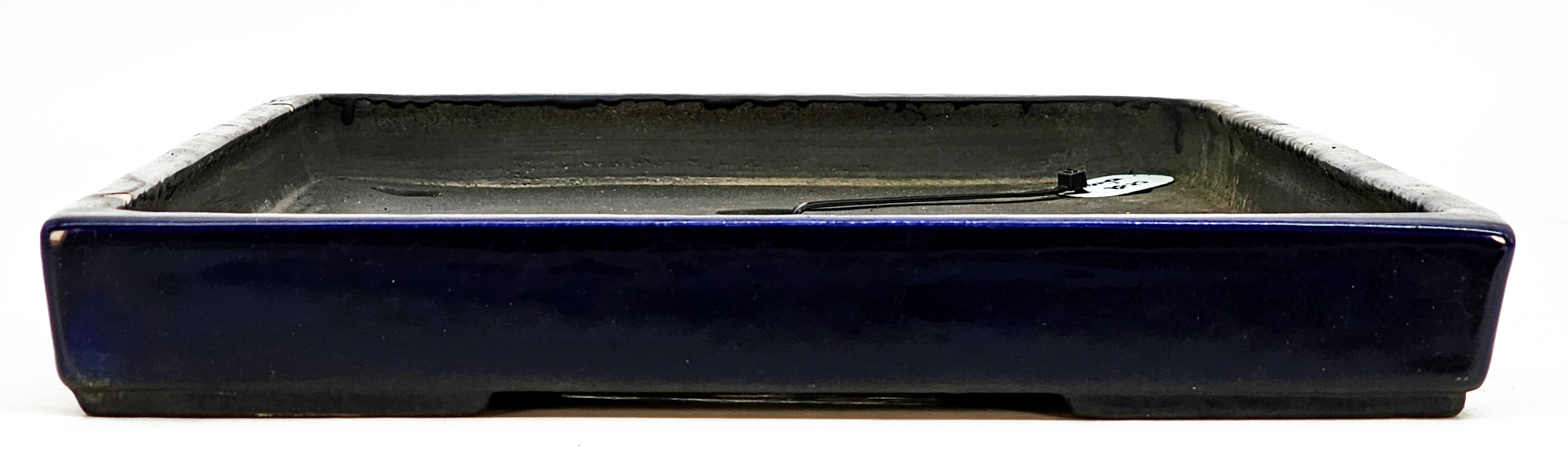 Bonsaischale Koyo Tokoname 52x31,3x4cm