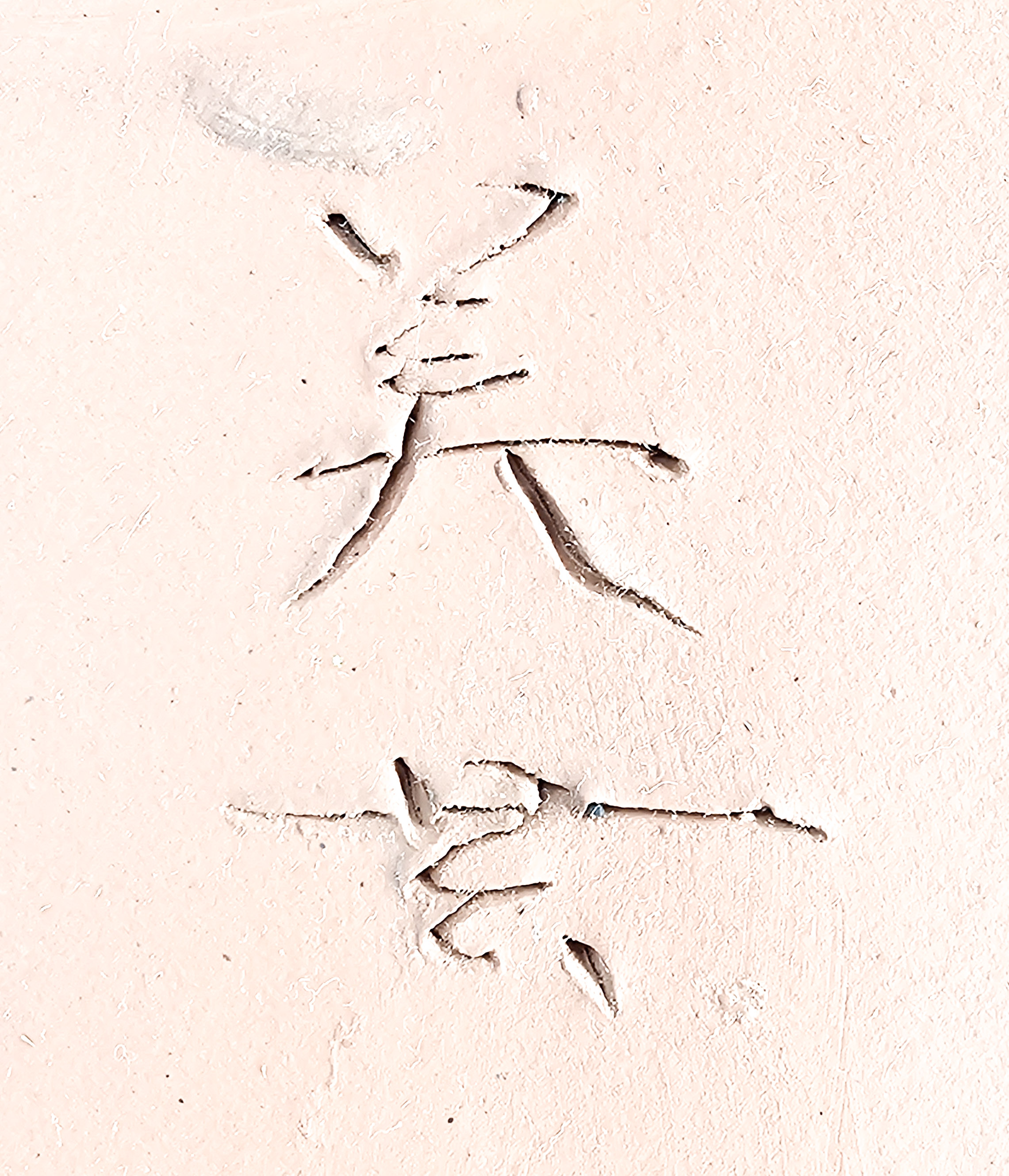 Bonsaischale Bigei Japan 19,5x15,4x5,5cm